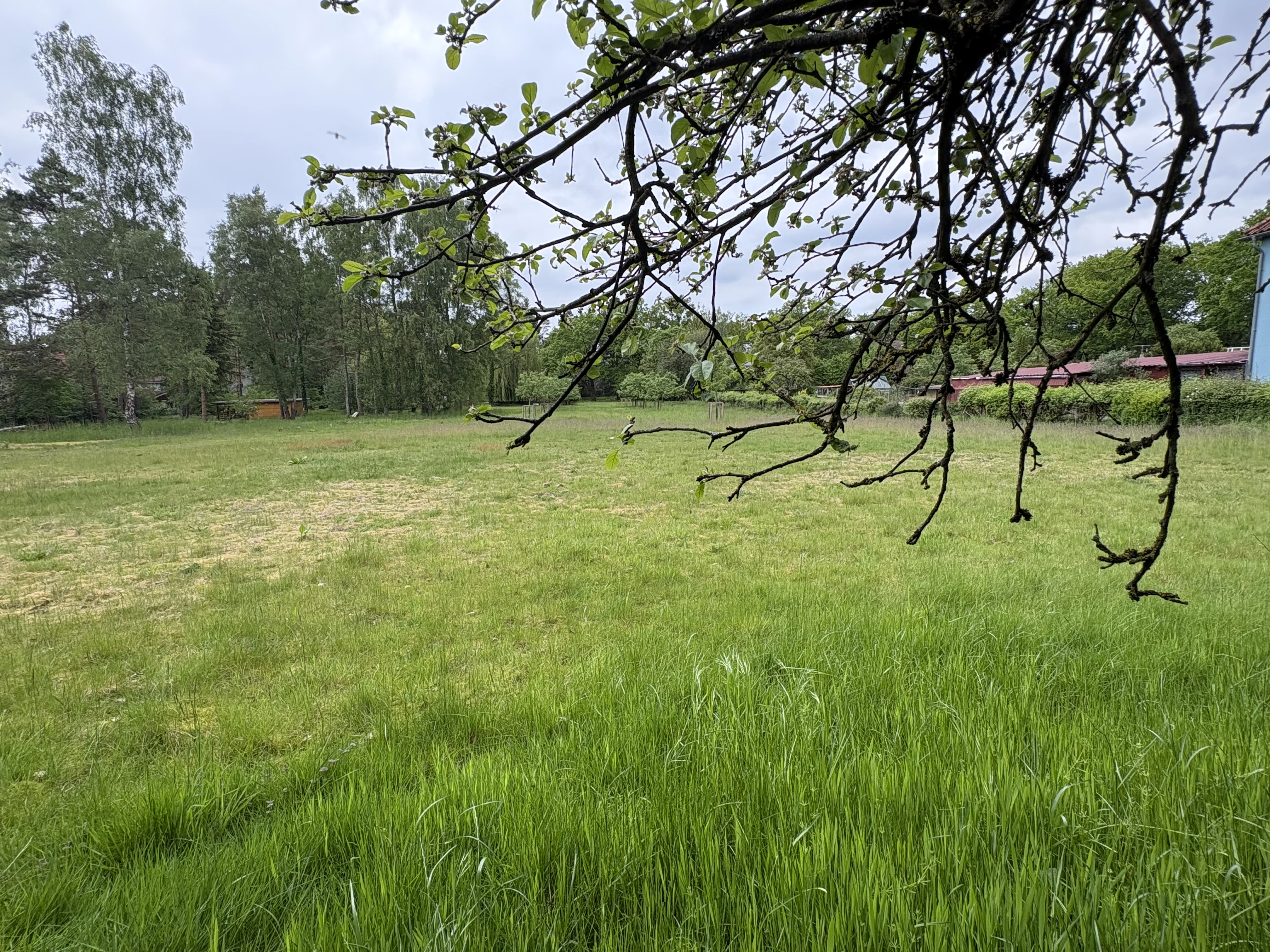 Bauplatz Tiefenblick in das Grundstück hinein