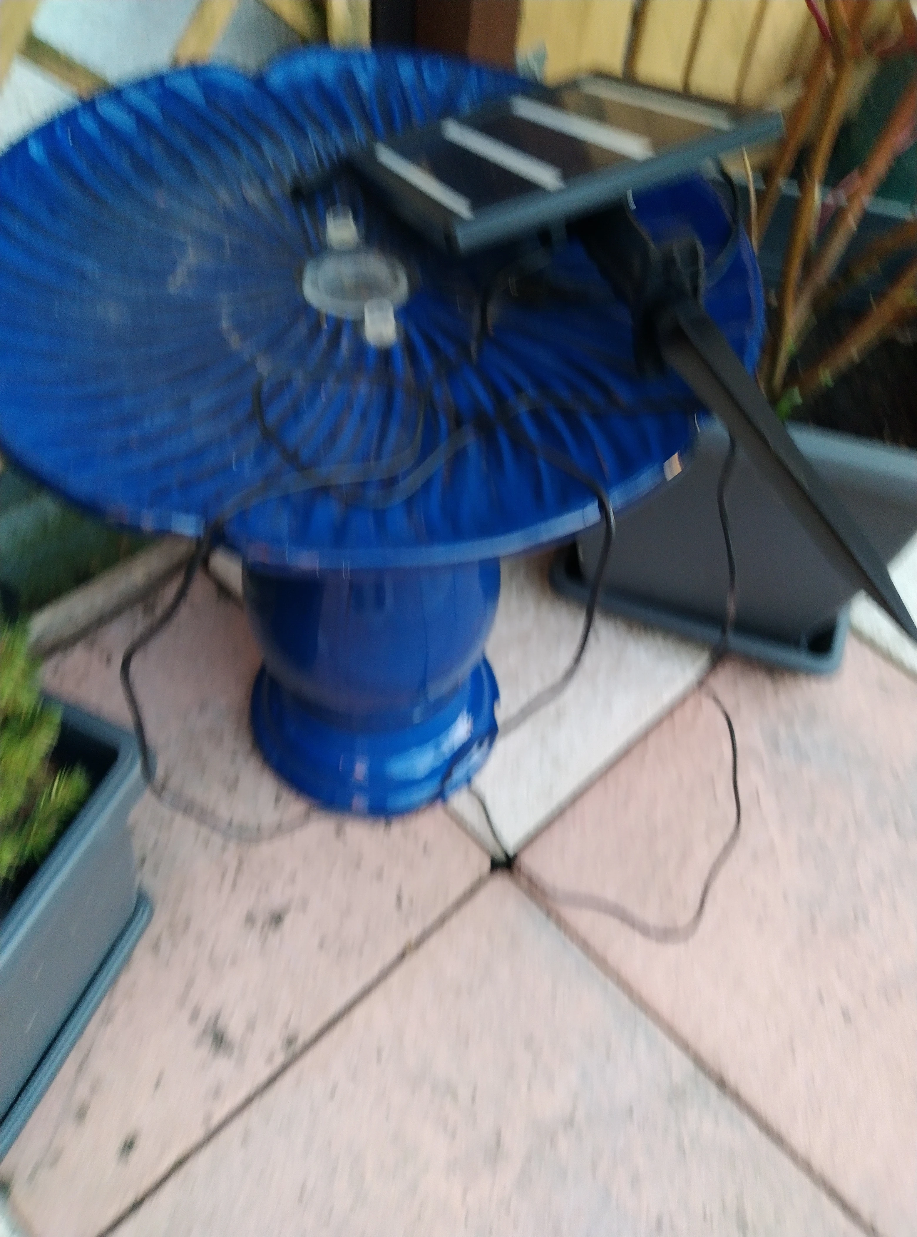 Als Vogeltränke