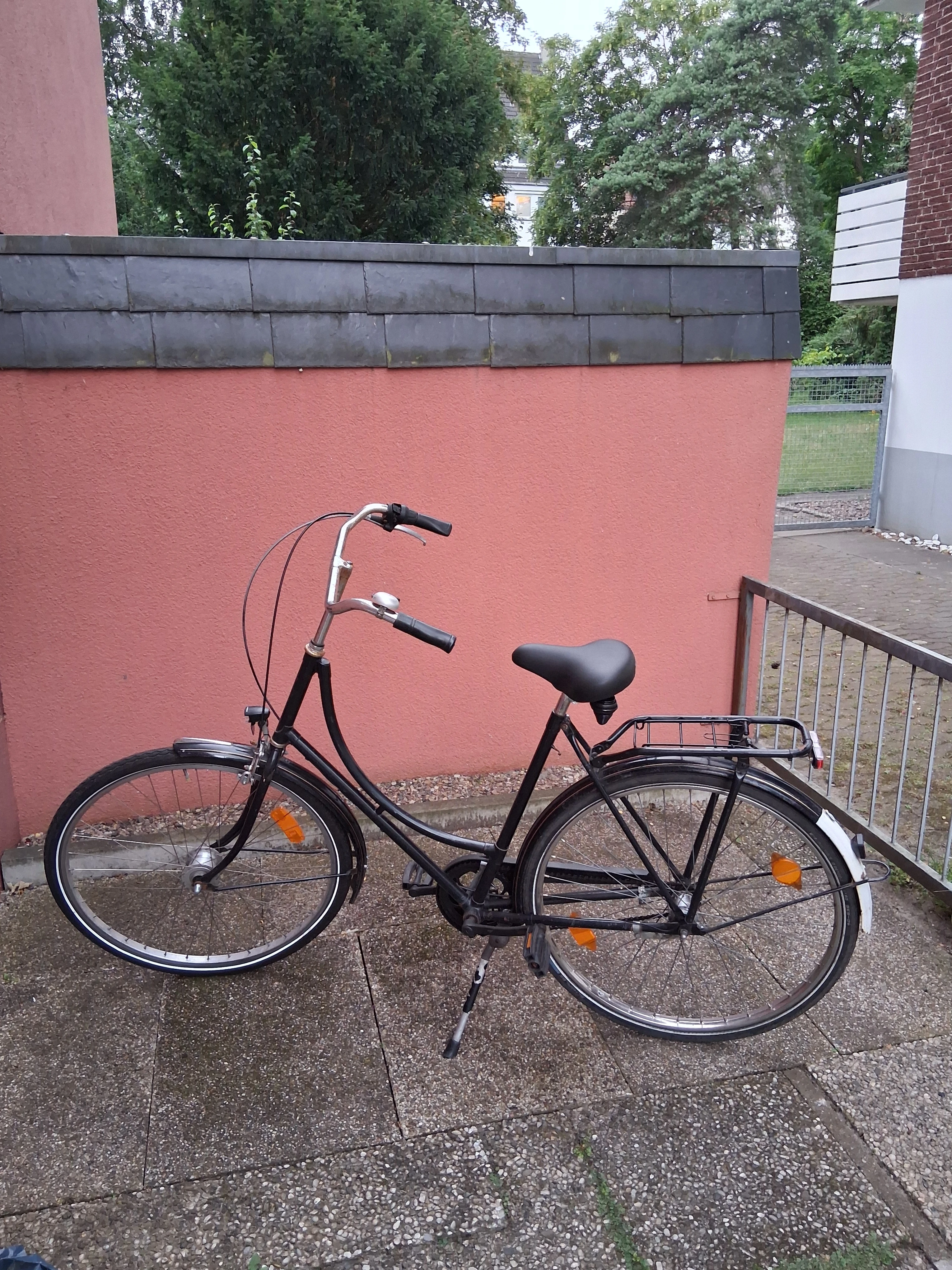 Damen Holland Fahrrad 