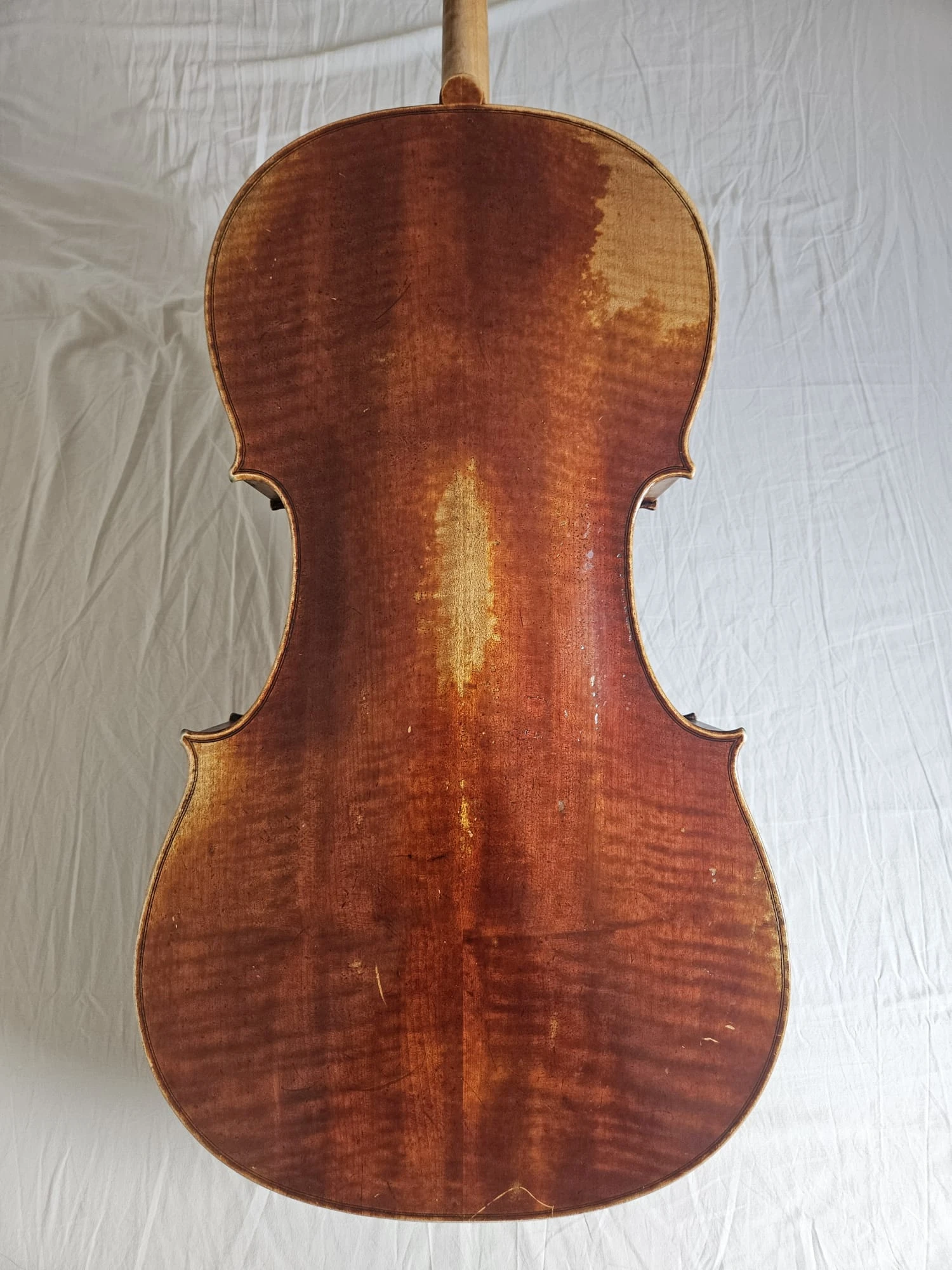 Barockcello foto2