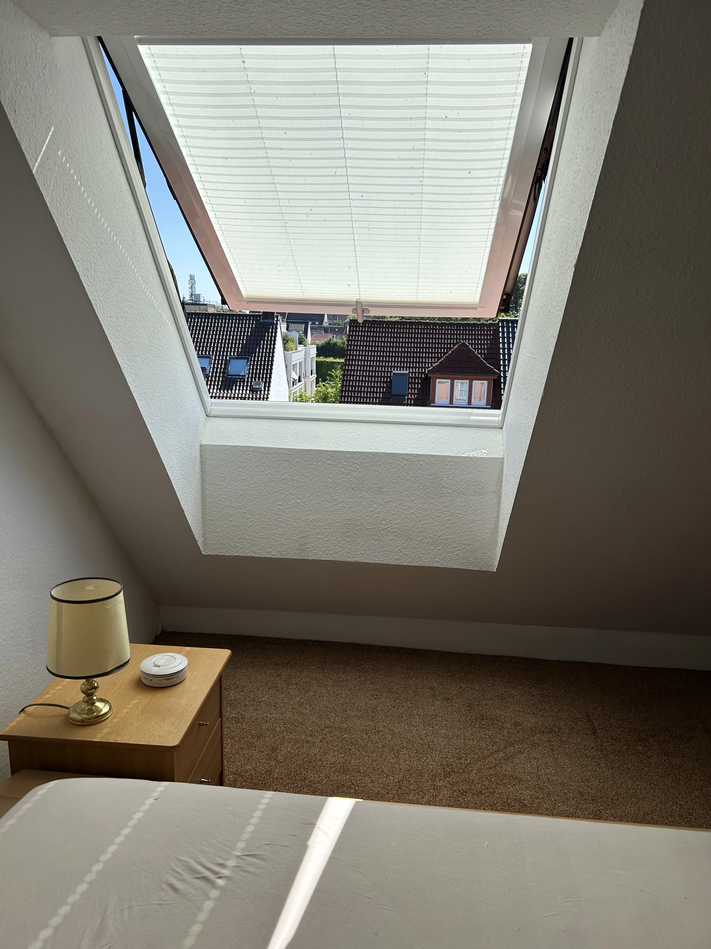 Fenster 