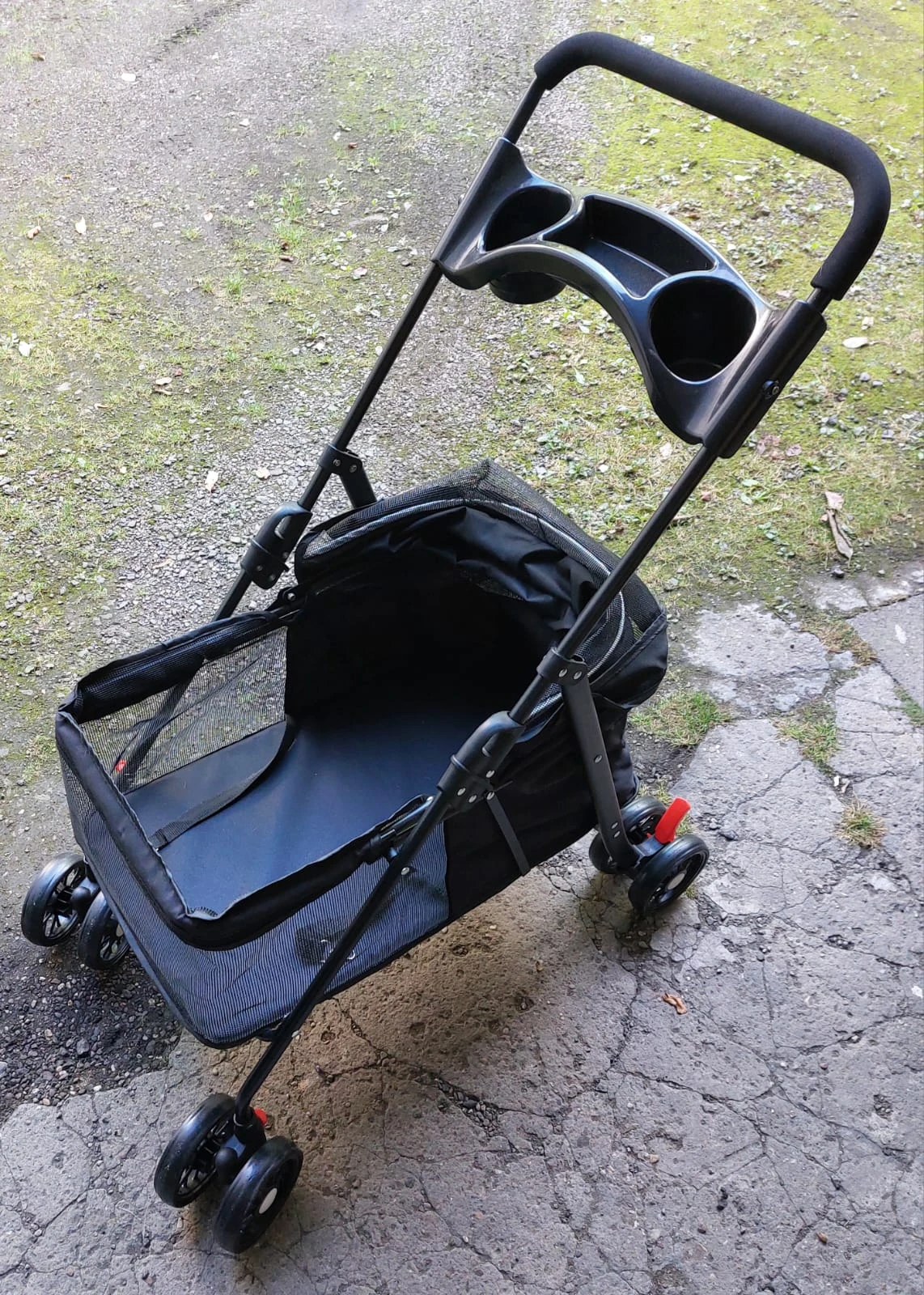 Buggy