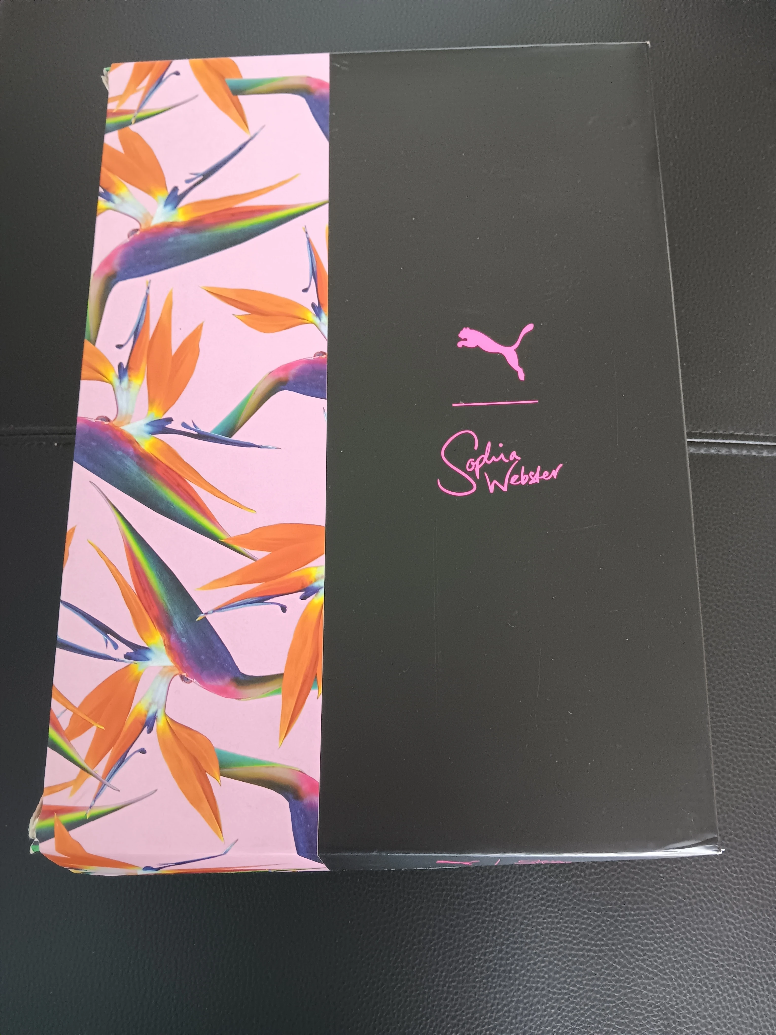 Sophia Webster Pearl Cage Designer Sneaker
