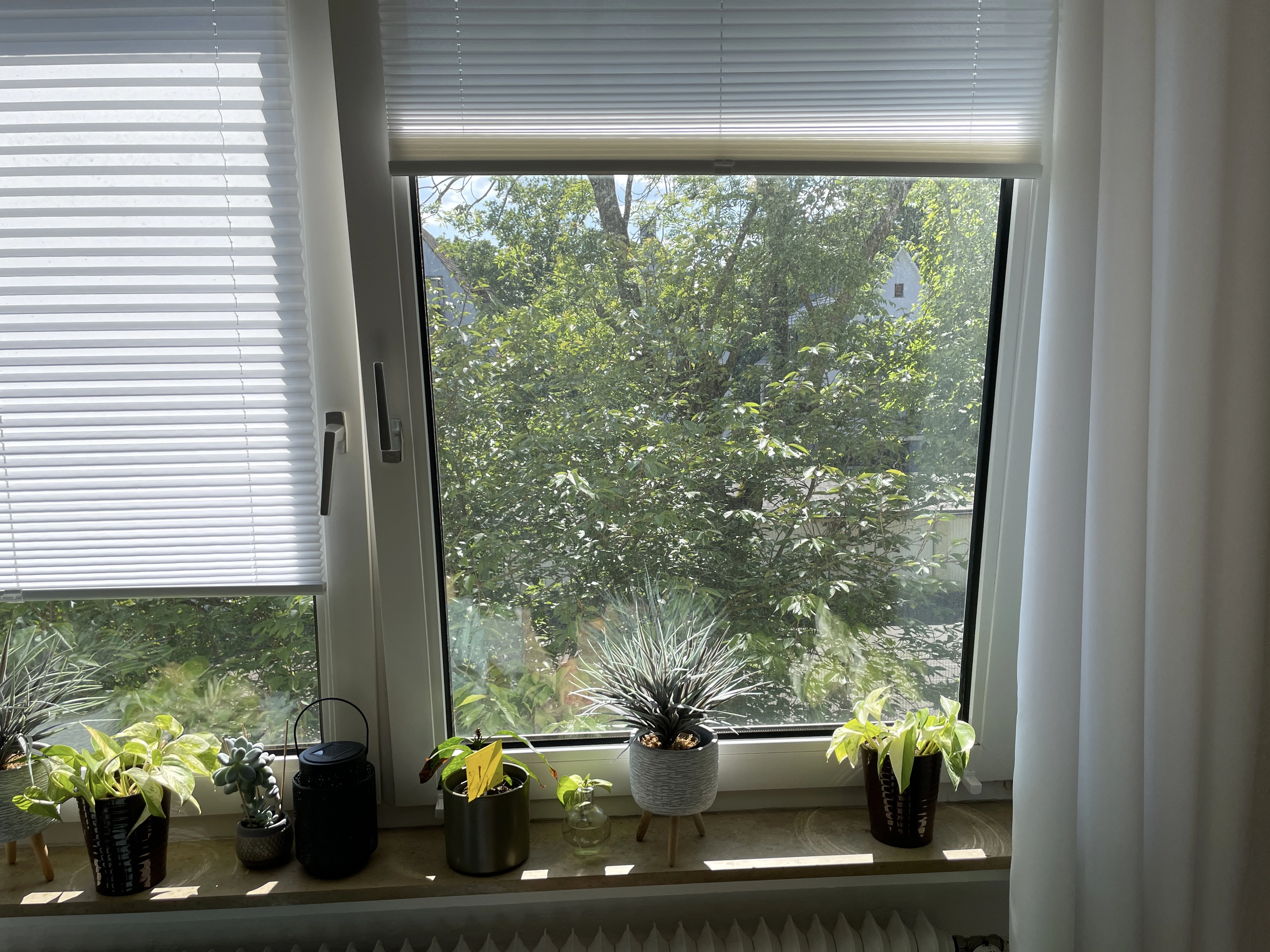 Blick vom Wohnzimmer ins Grüne