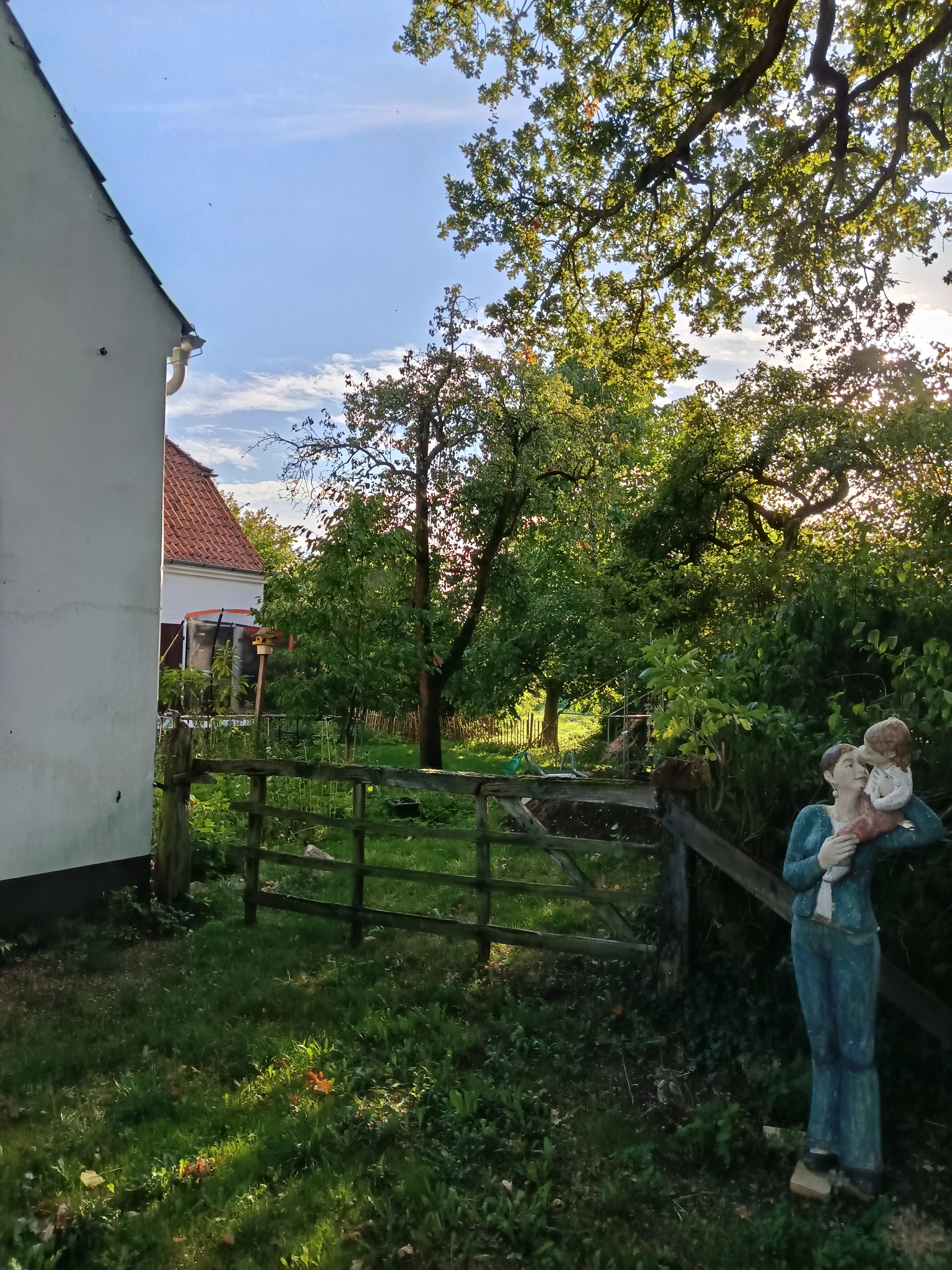 Blick in den Garten 