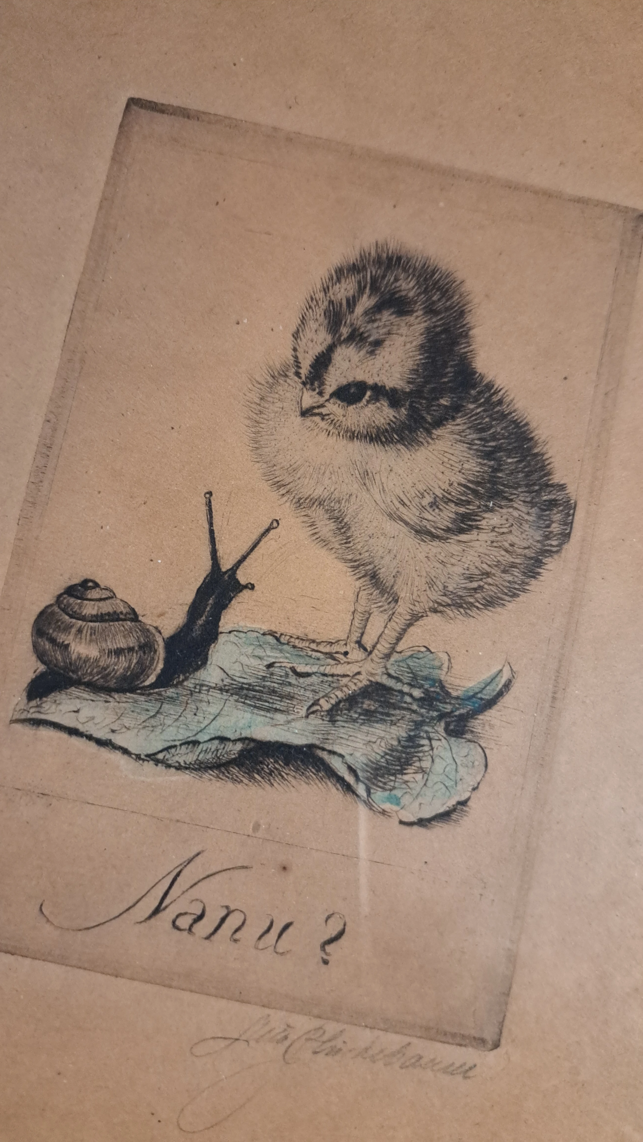 Meta Plückebaum Kücken und Schnecke