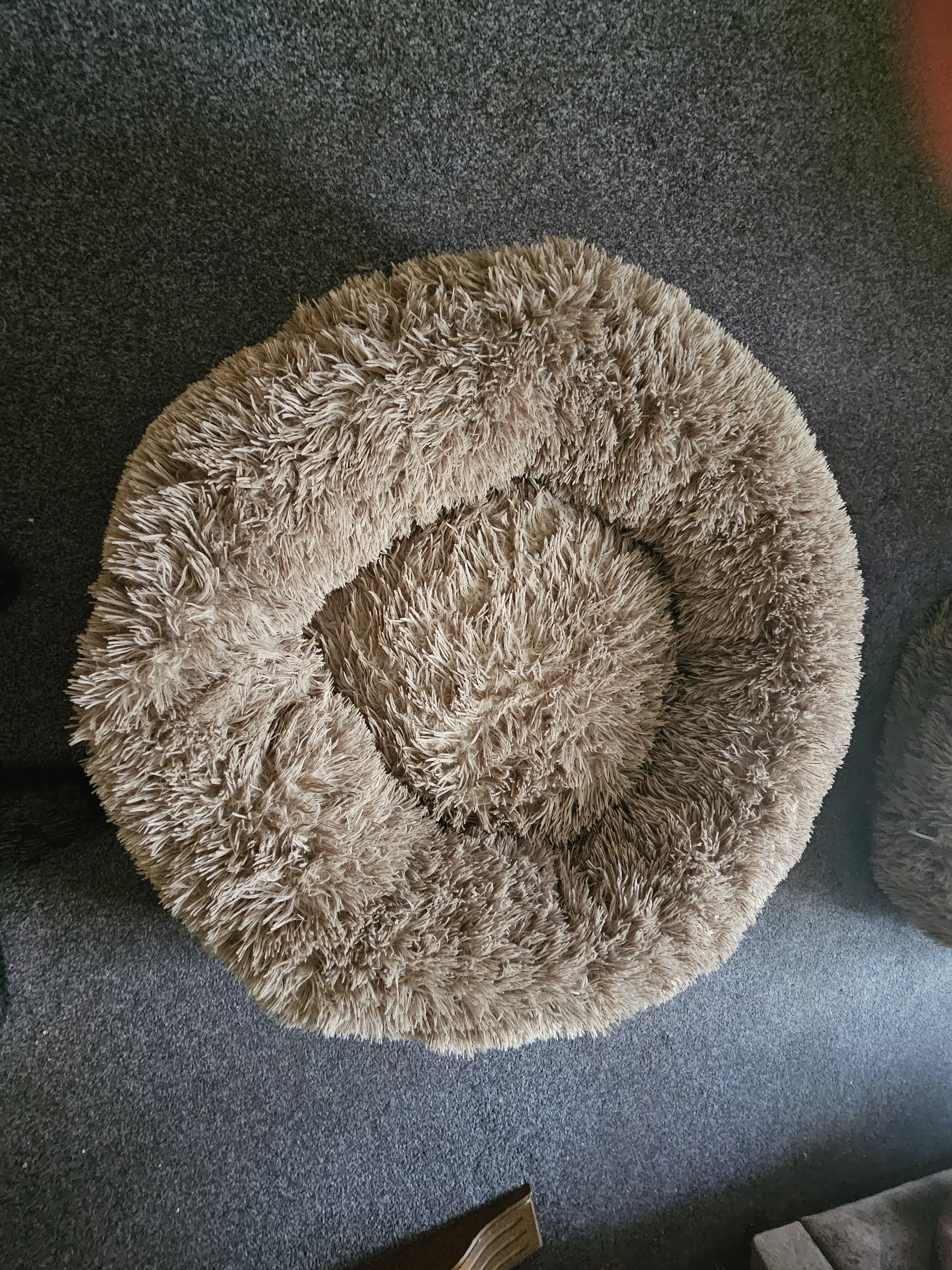 Hundebett 1