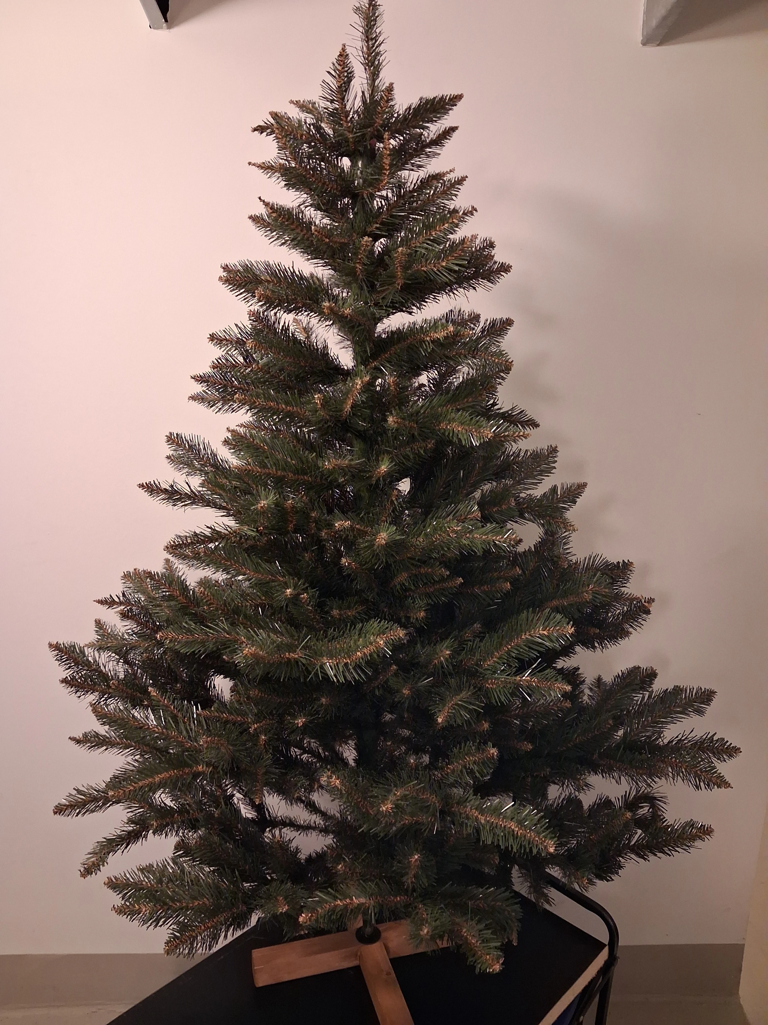 Der Baum