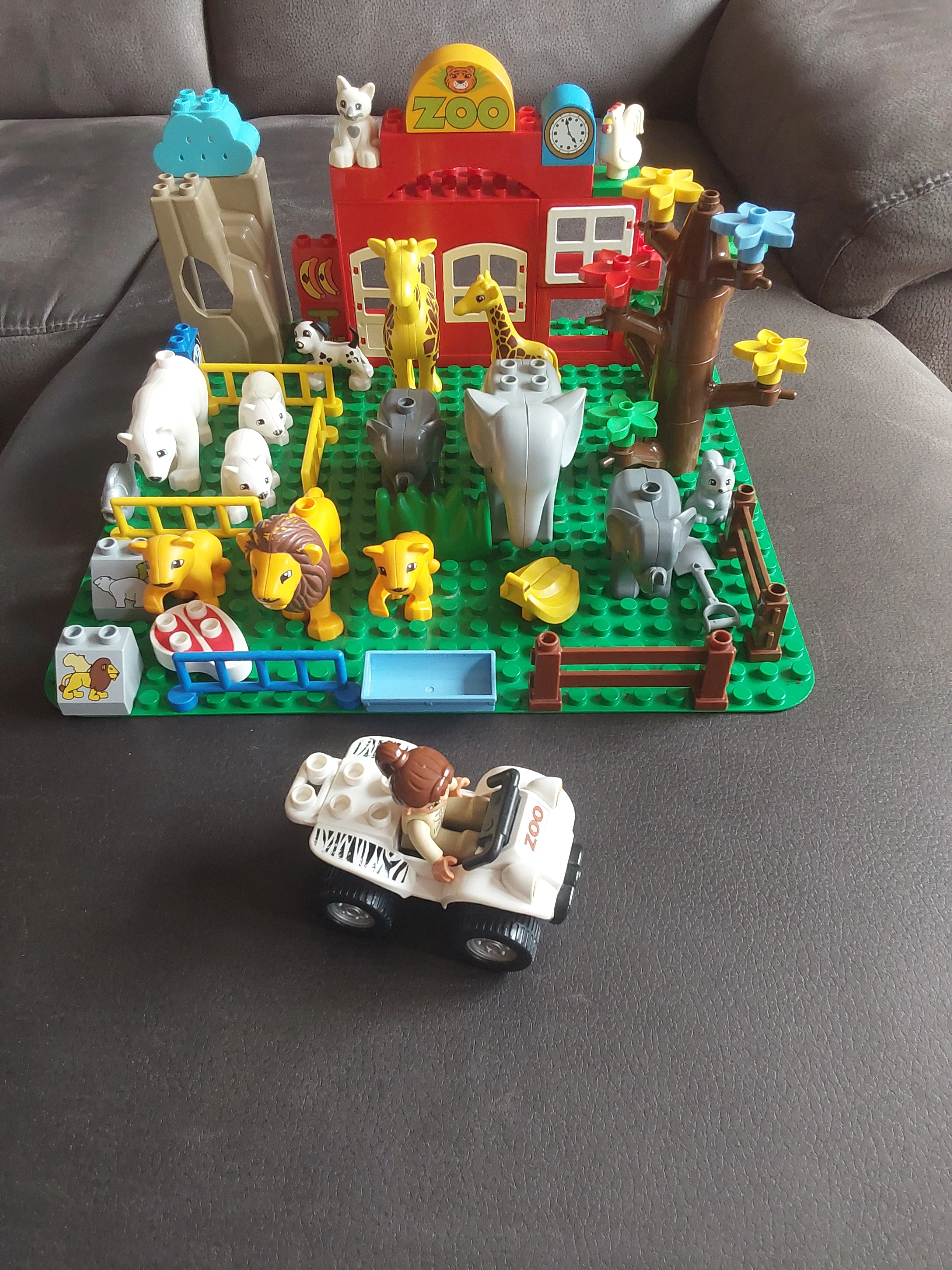 Zoo
