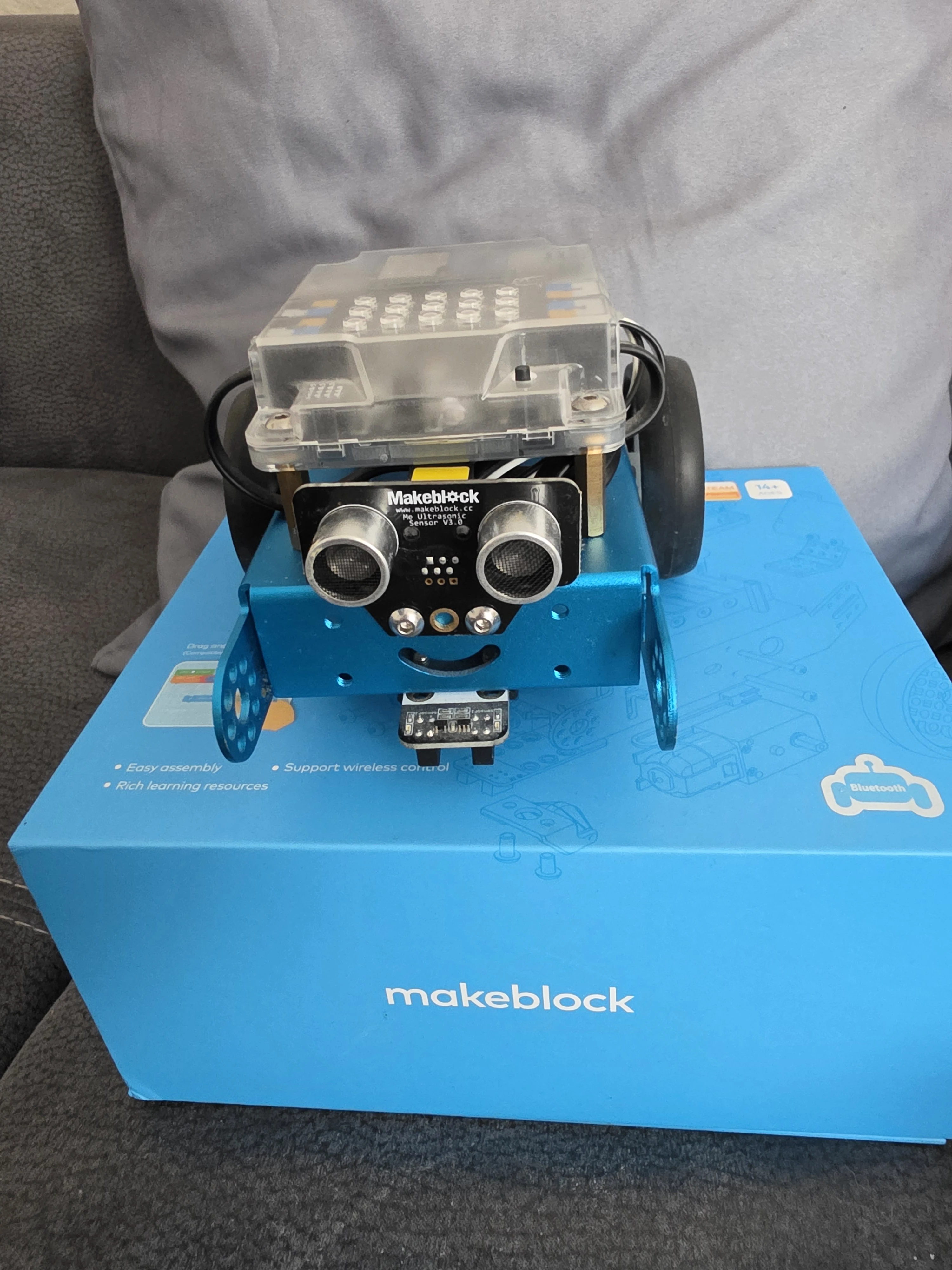 Robot