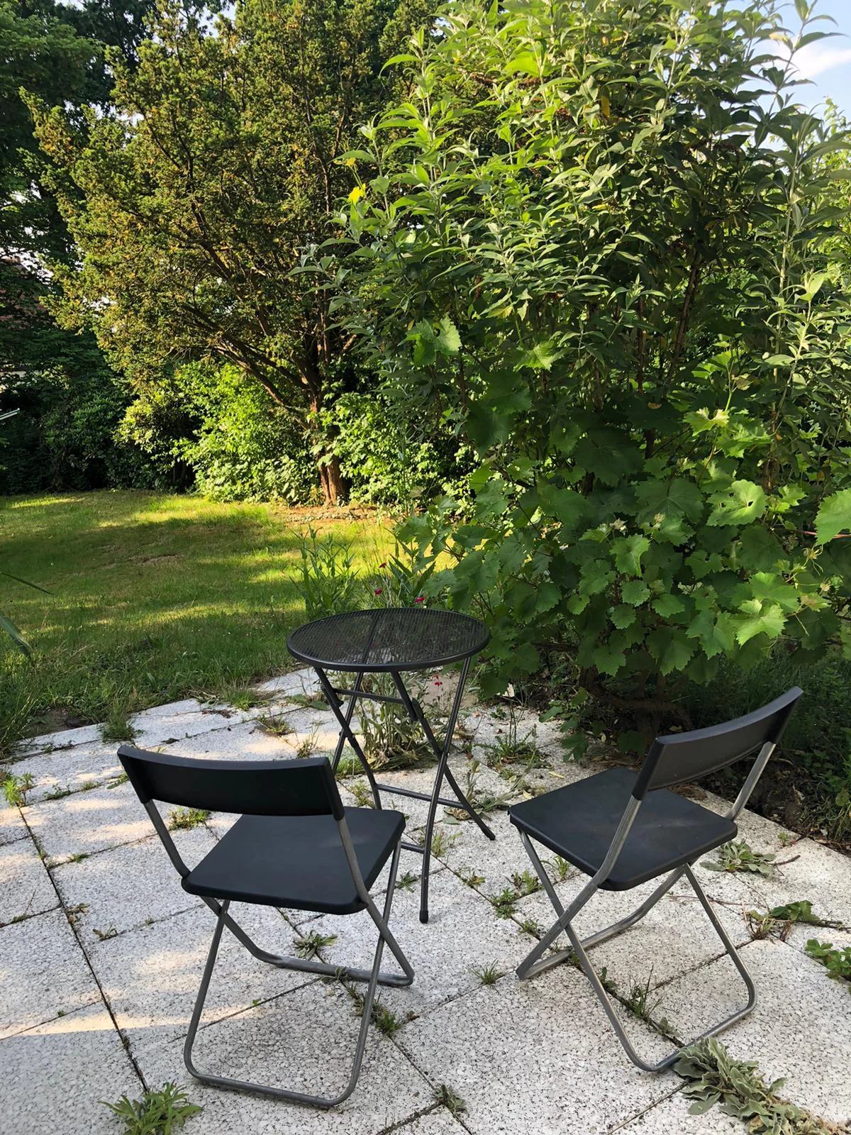 Garten #2