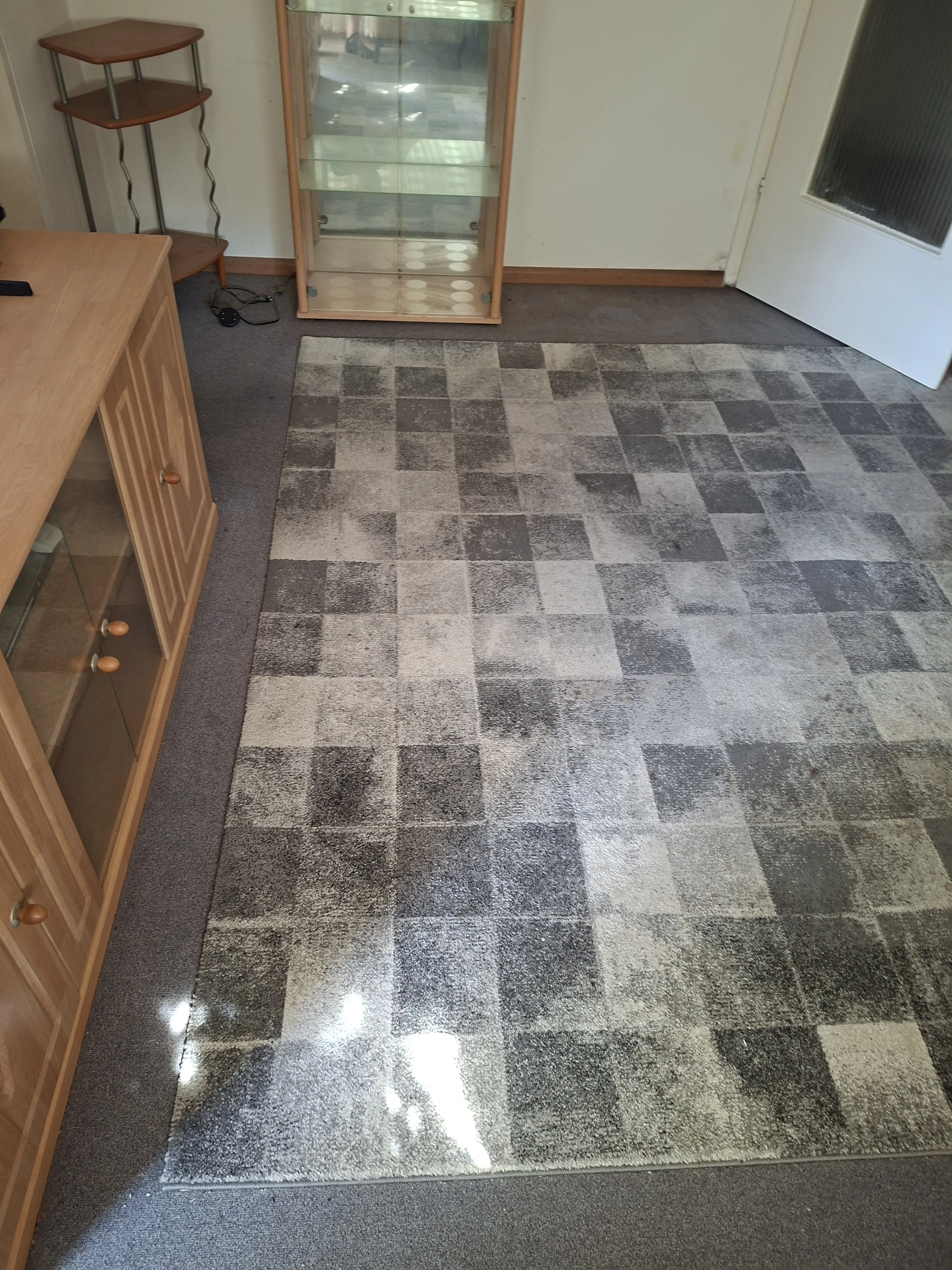 Teppich 240 x 340 cm