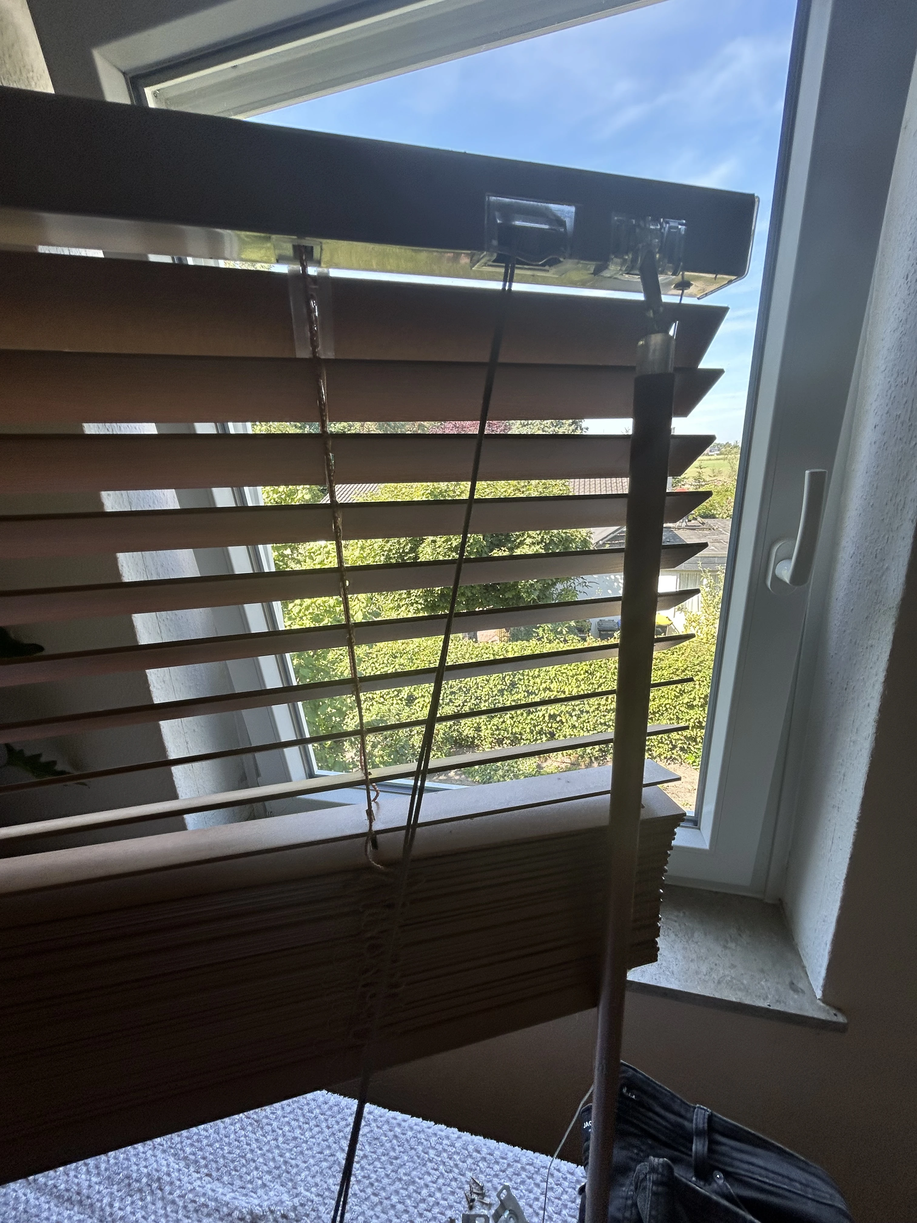 Bild3