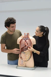 Erste-Hilfe-Torso