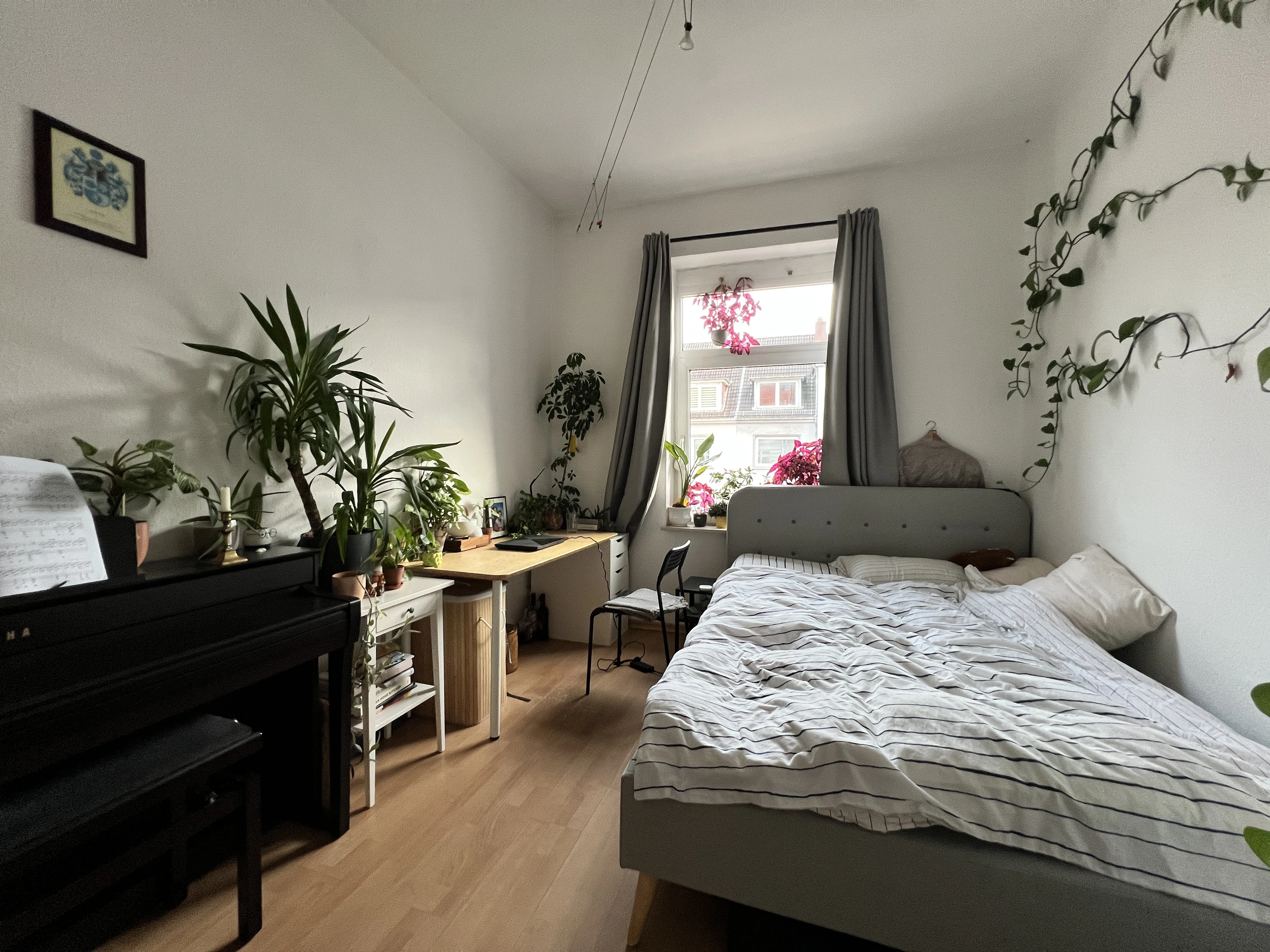 Zimmer 1