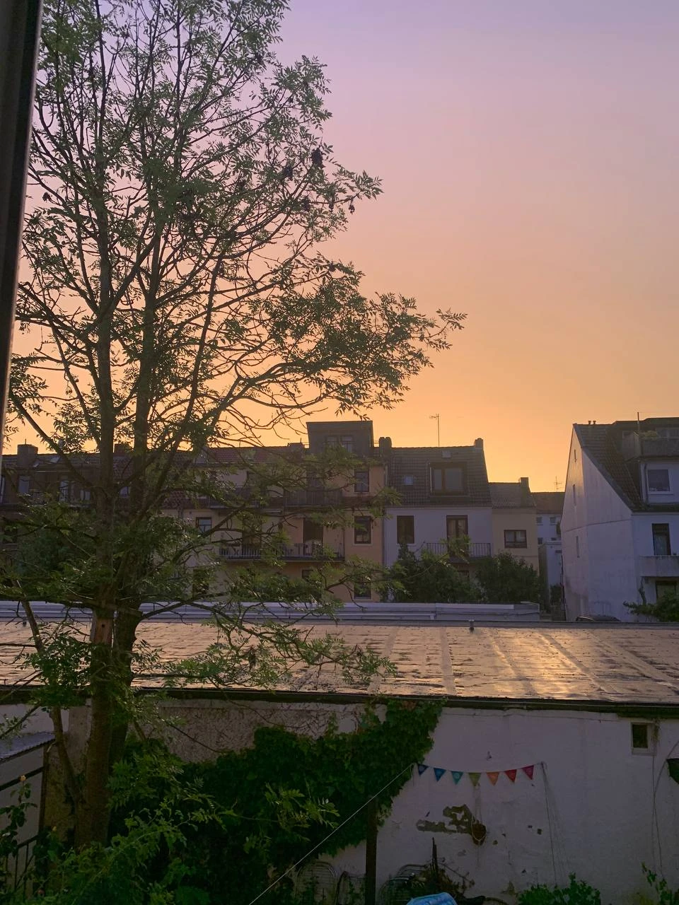 Ausblick aus dem Wohnzimmer