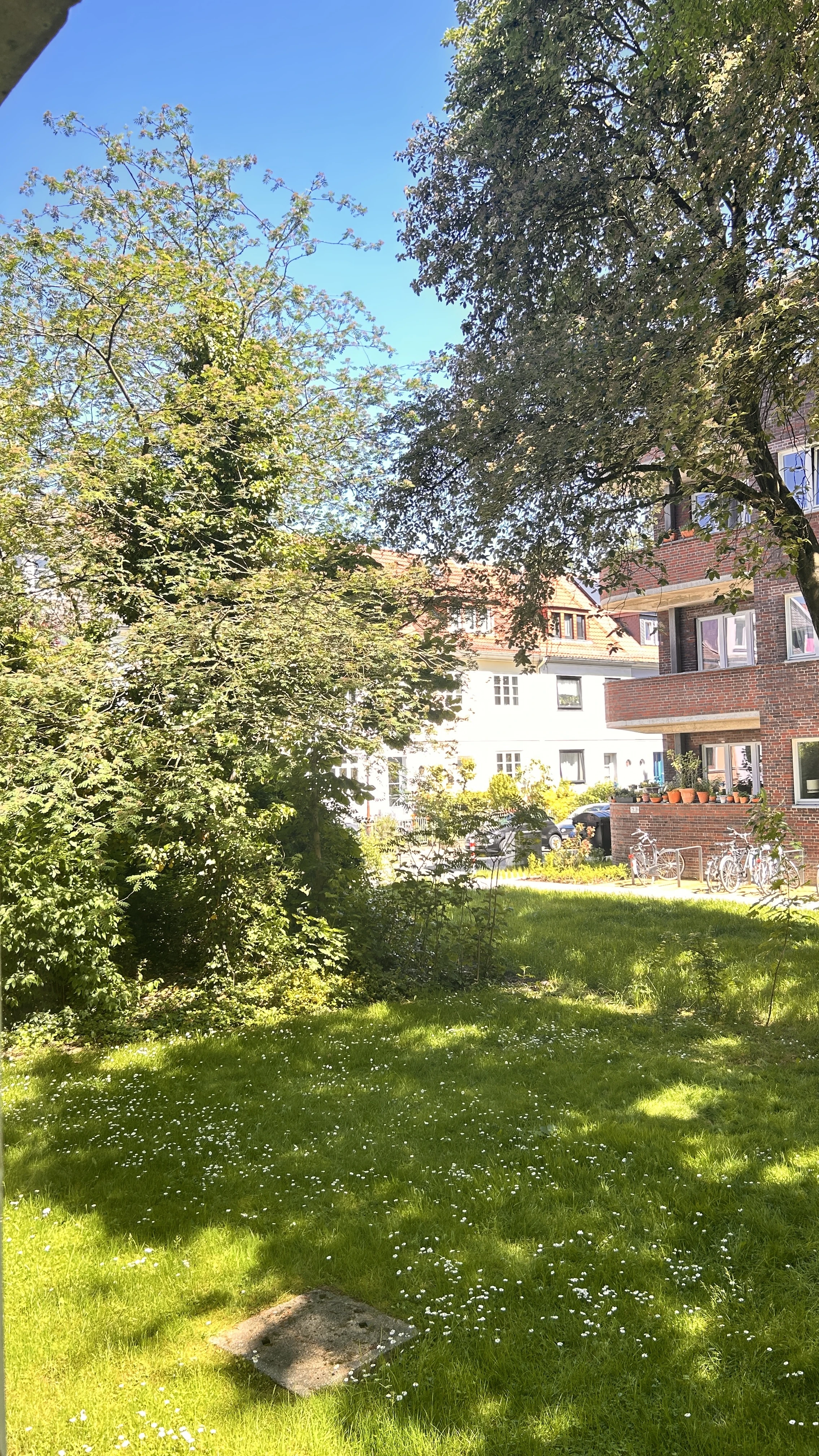 Ausblick