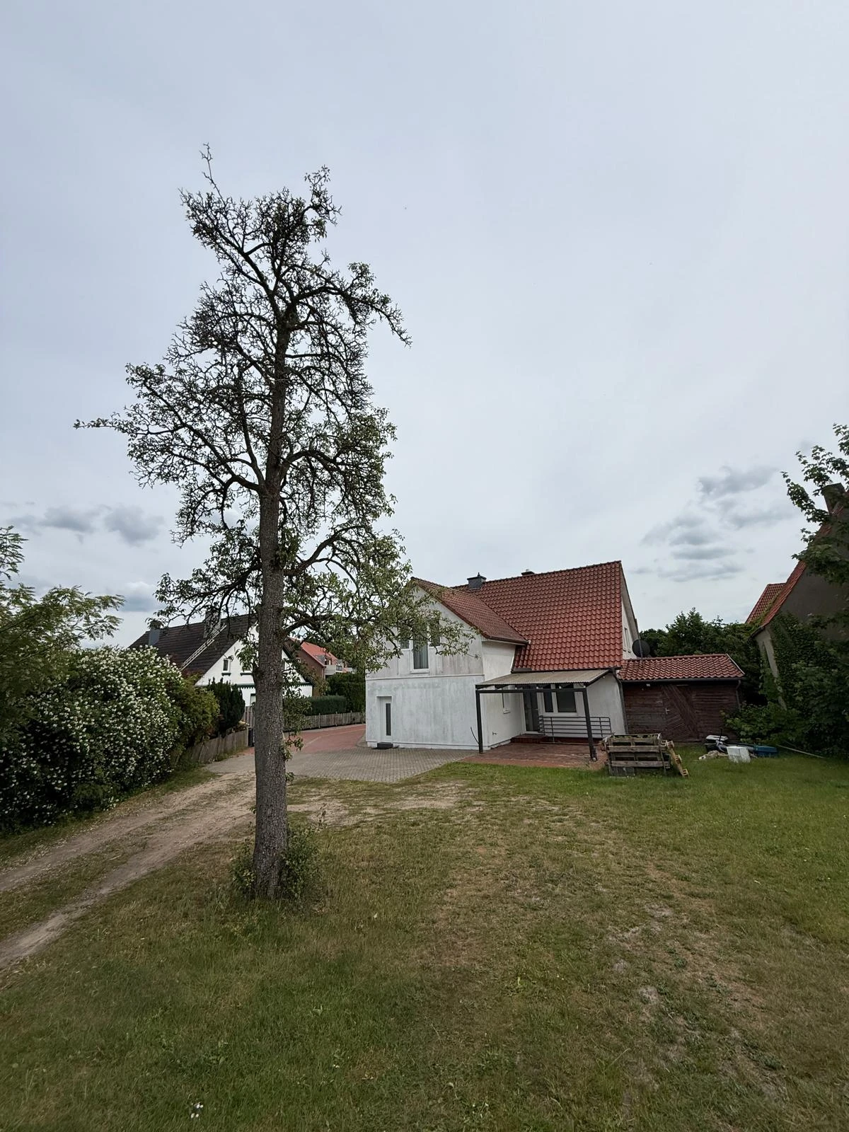 Sicht aus dem Garten