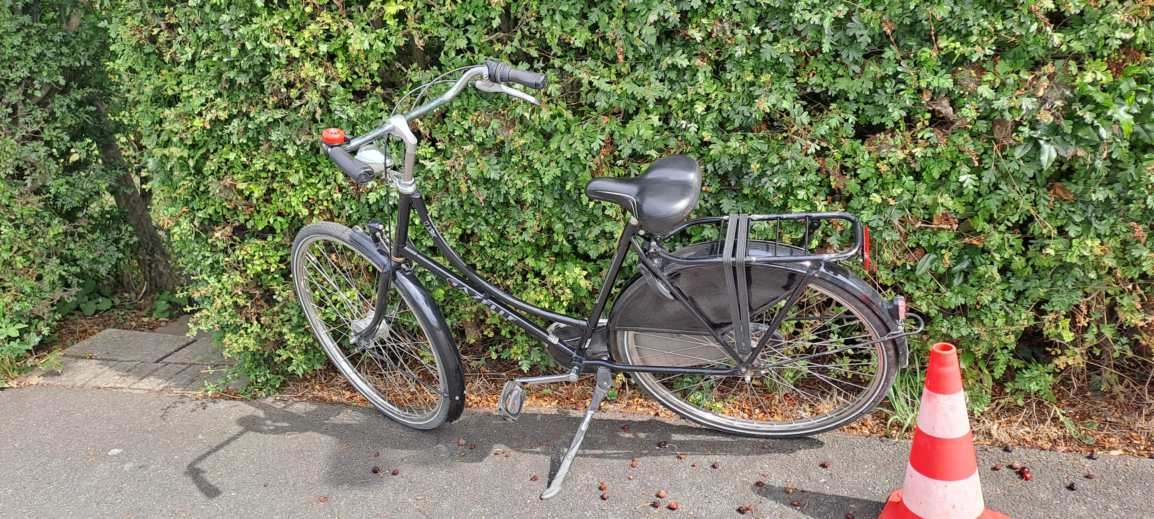 Damen Hollandrad Gazelle 