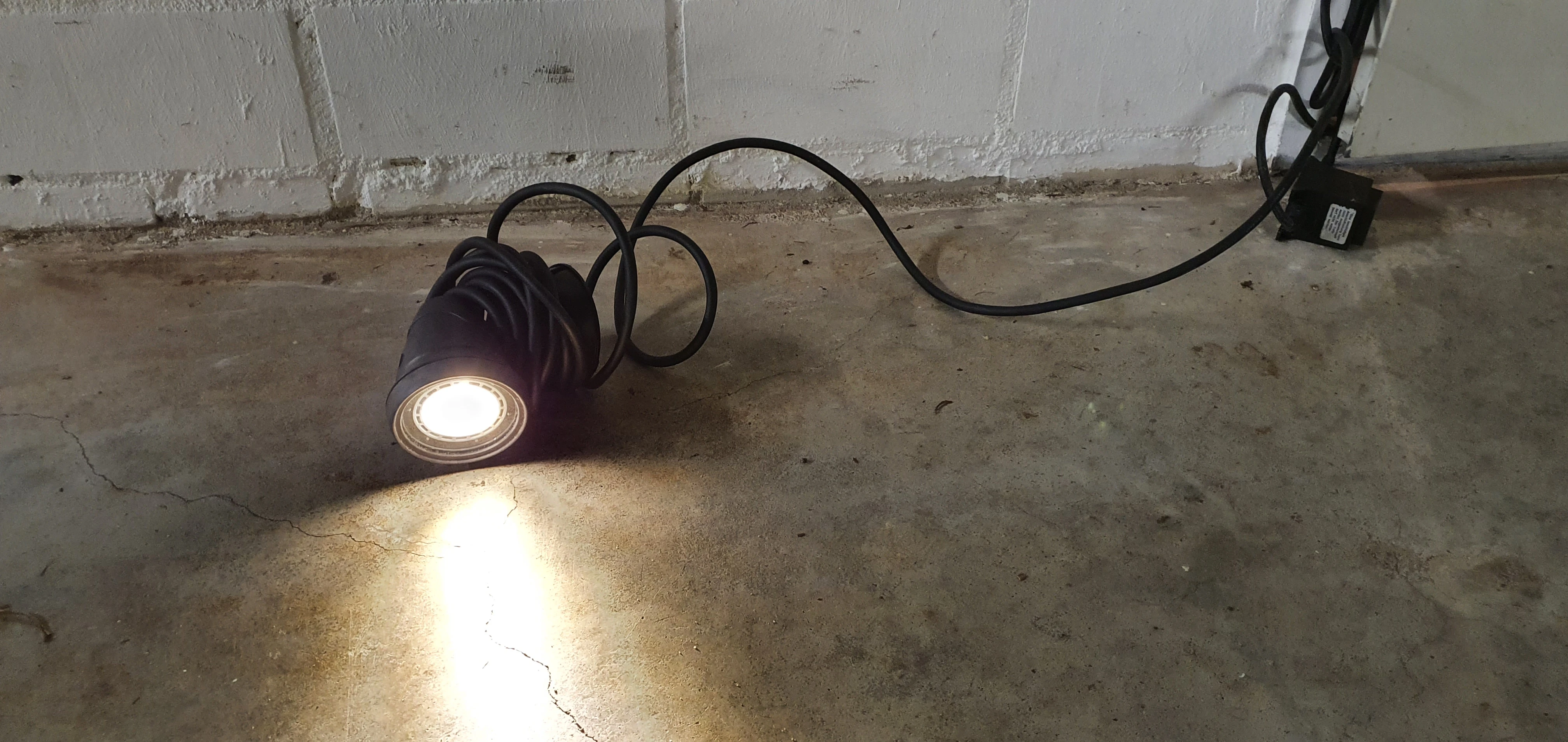 Teichlampe