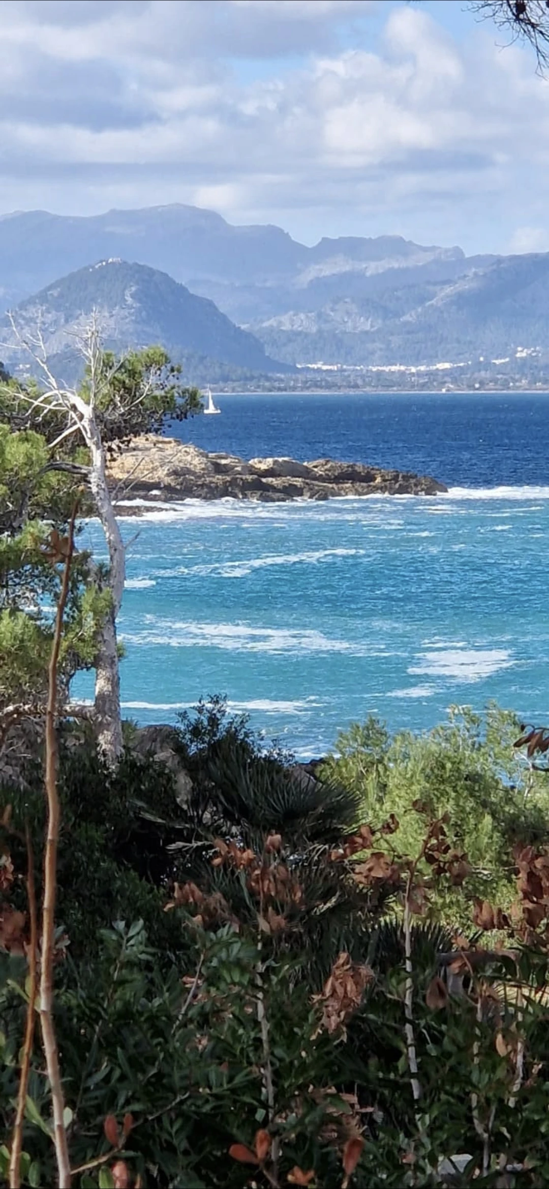 Meer