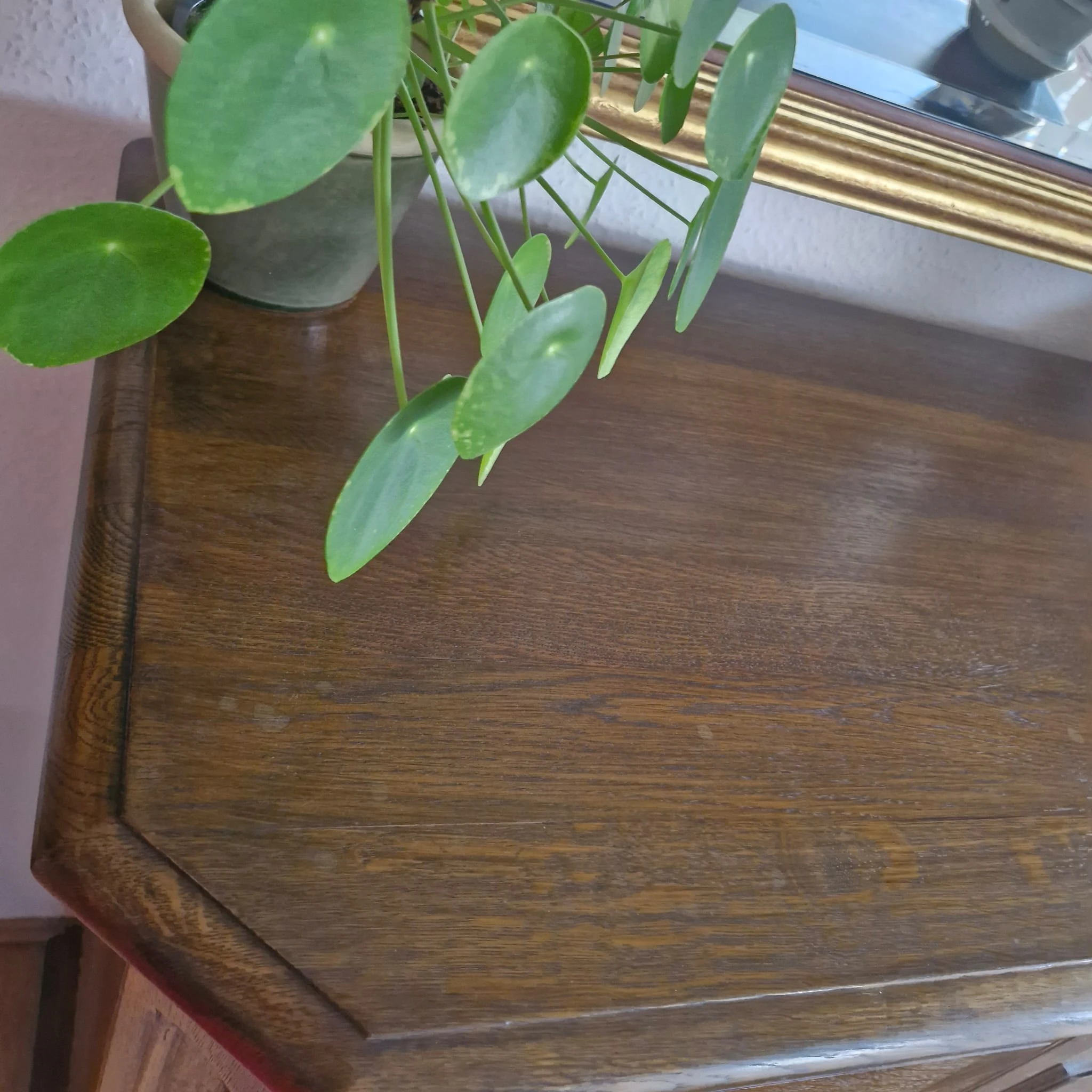 Schrank von oben