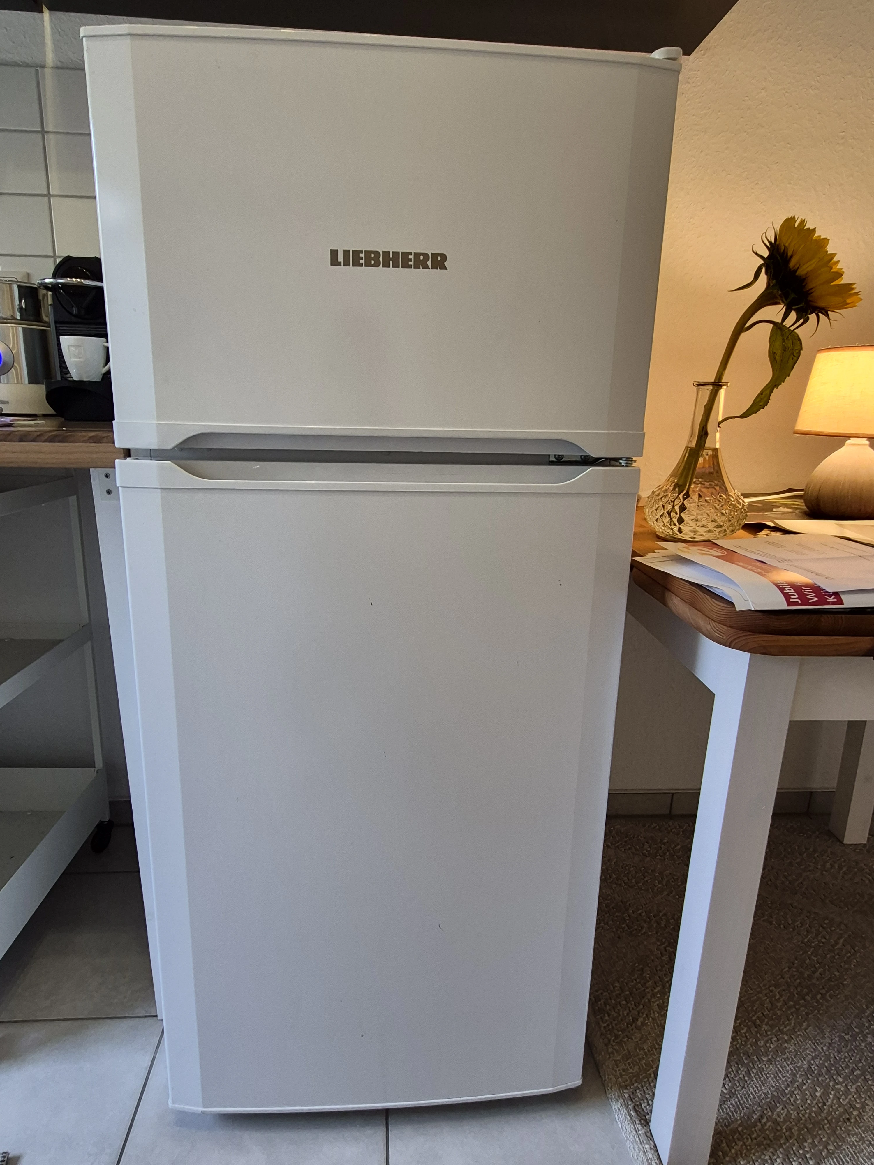 Kühlschrank mit Gefrierschrank 