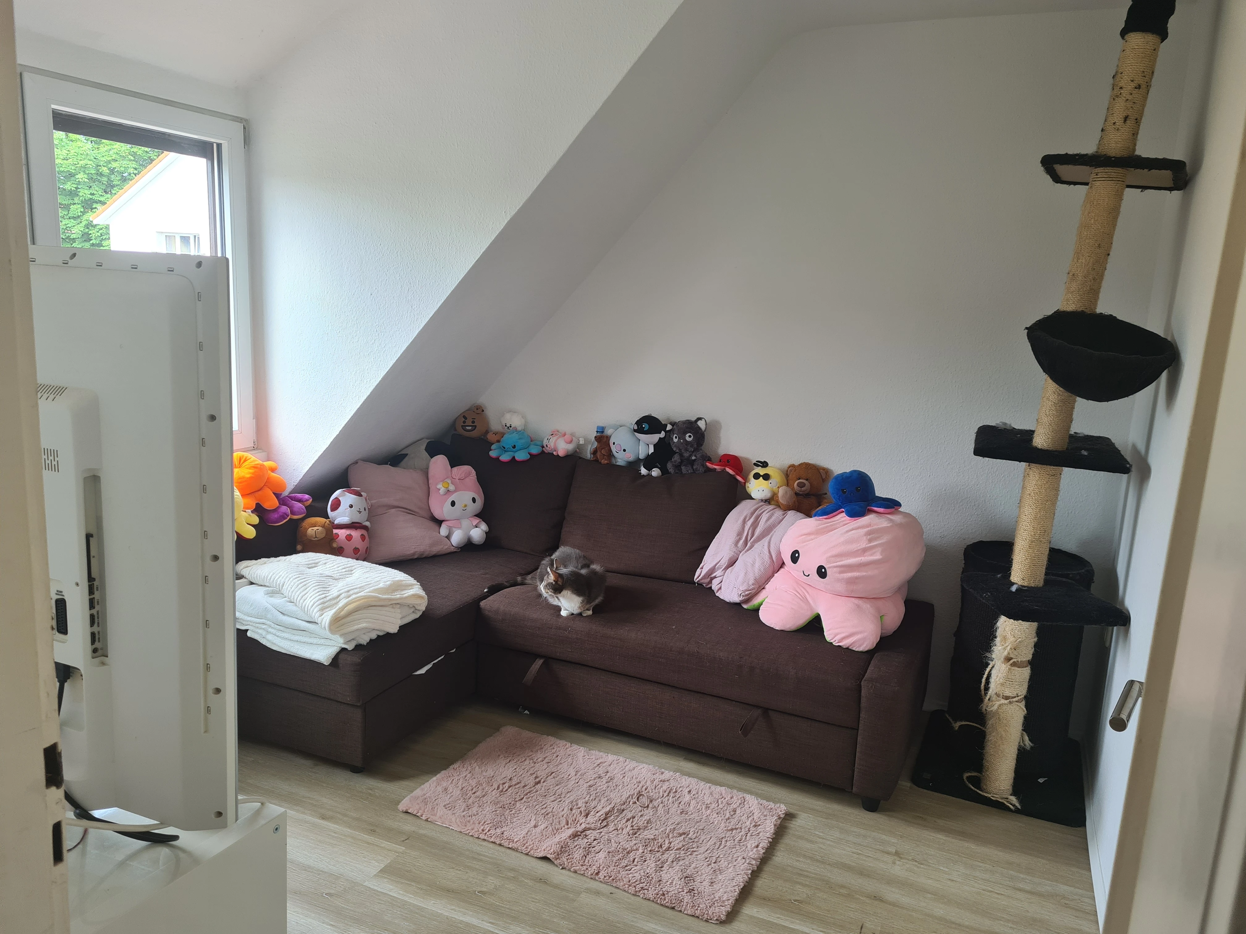 Wohnzimmer Bild 1