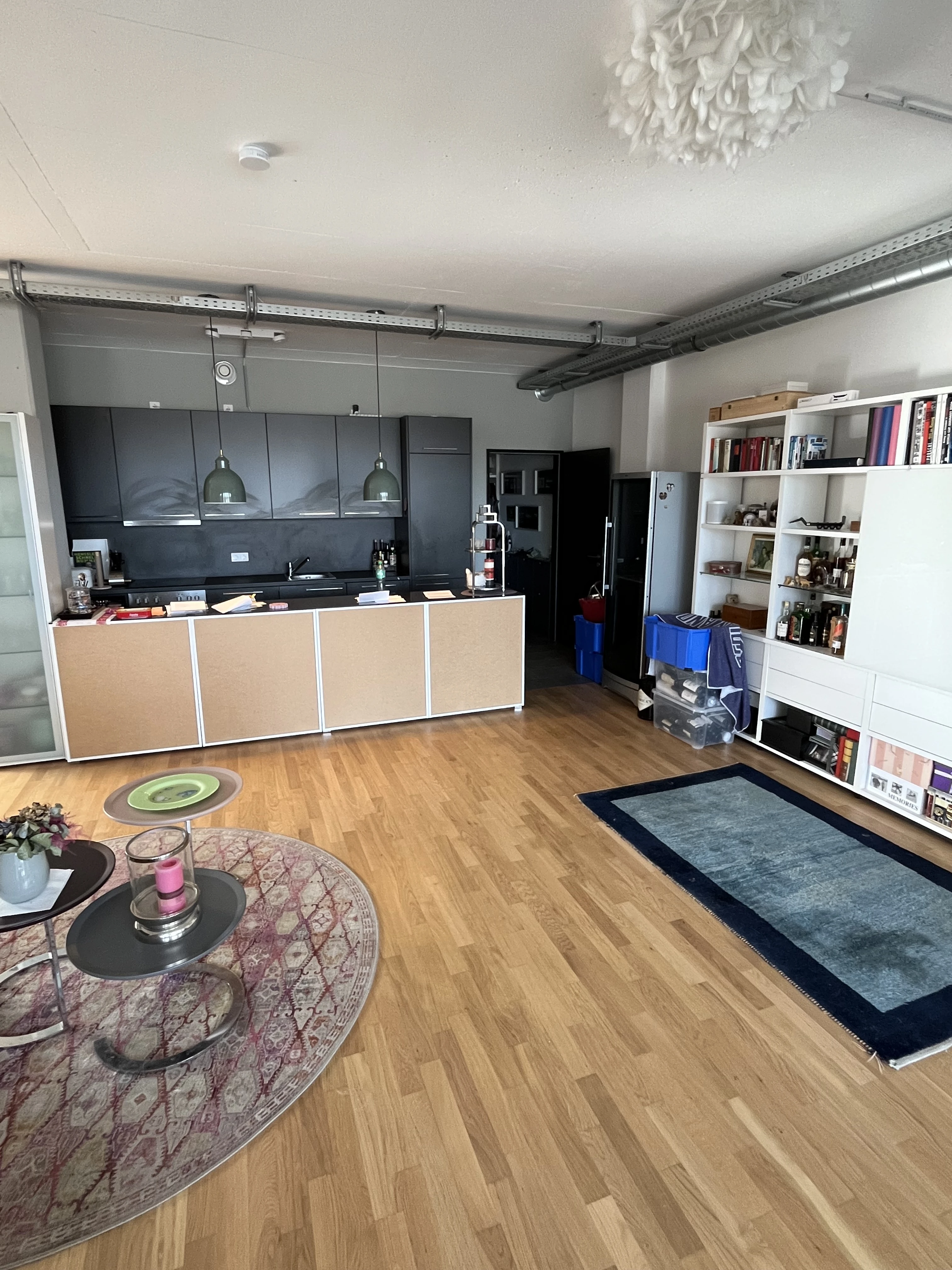 Wohnzimmer / Küche