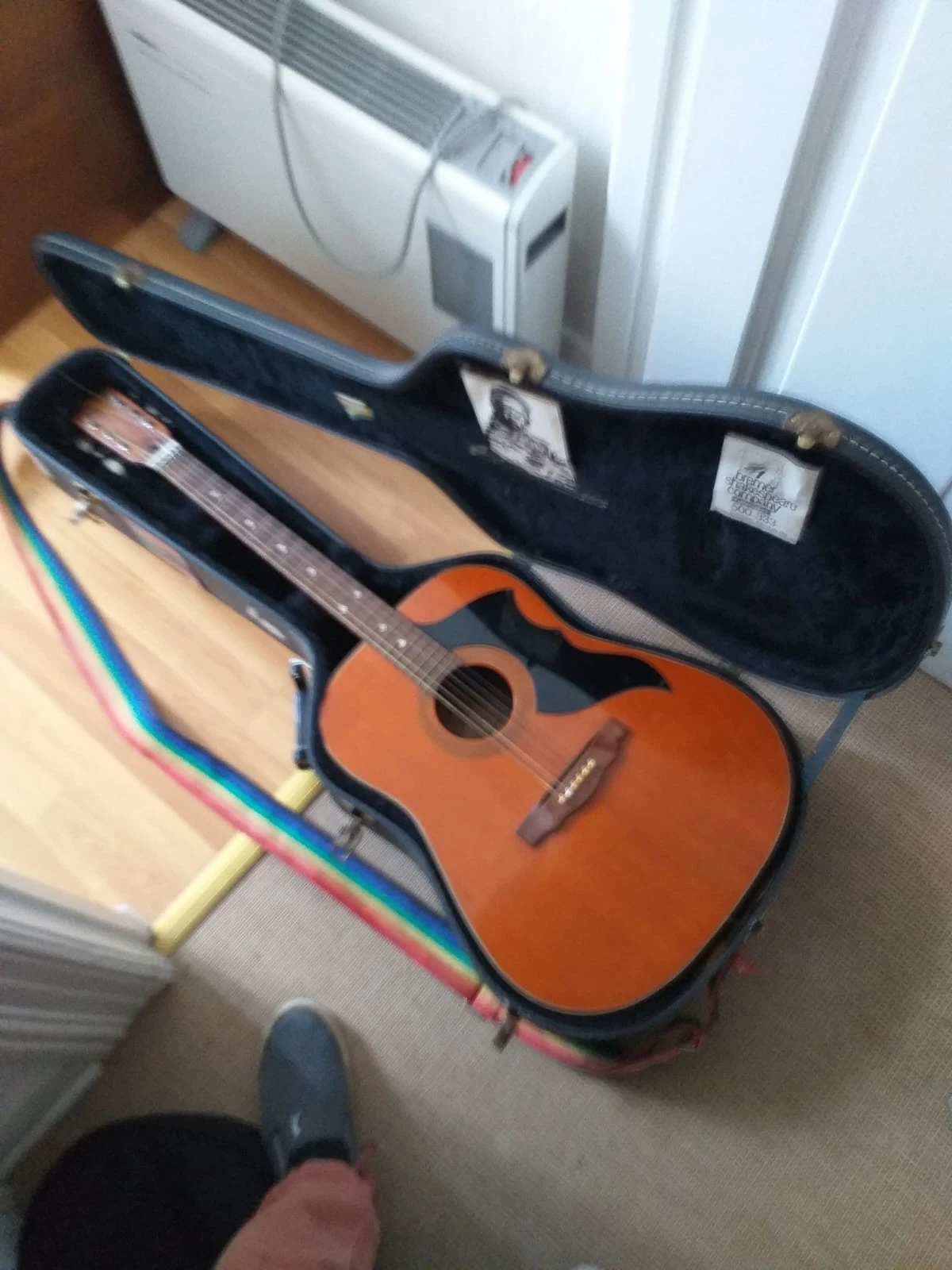 Gitarre und Koffer 