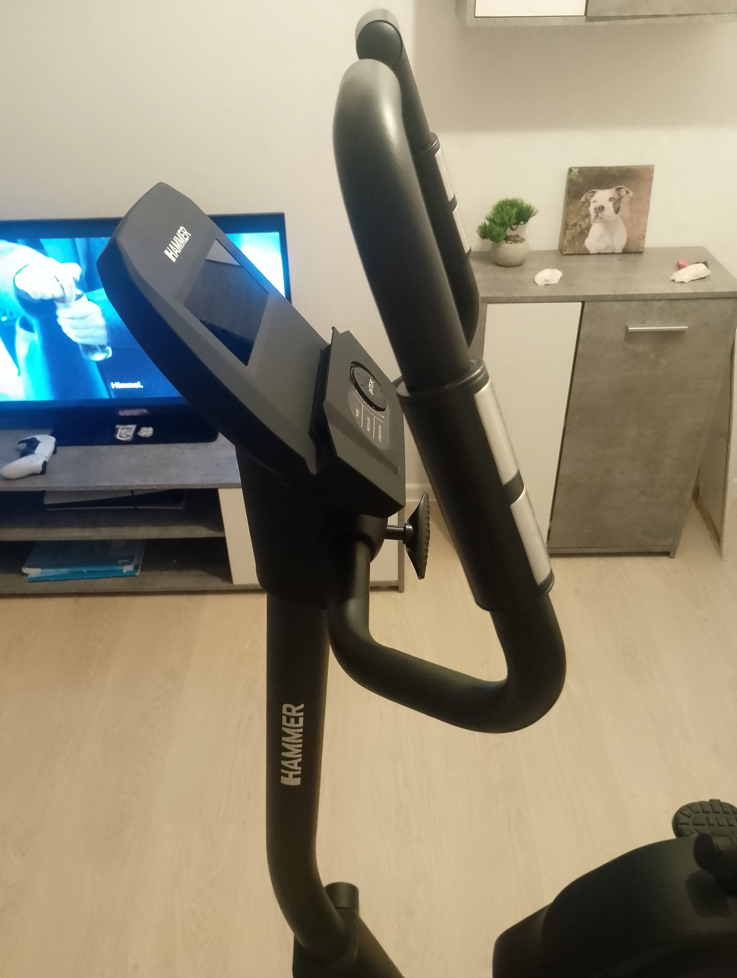 Seitenansicht des Display Monitors und Lenkers