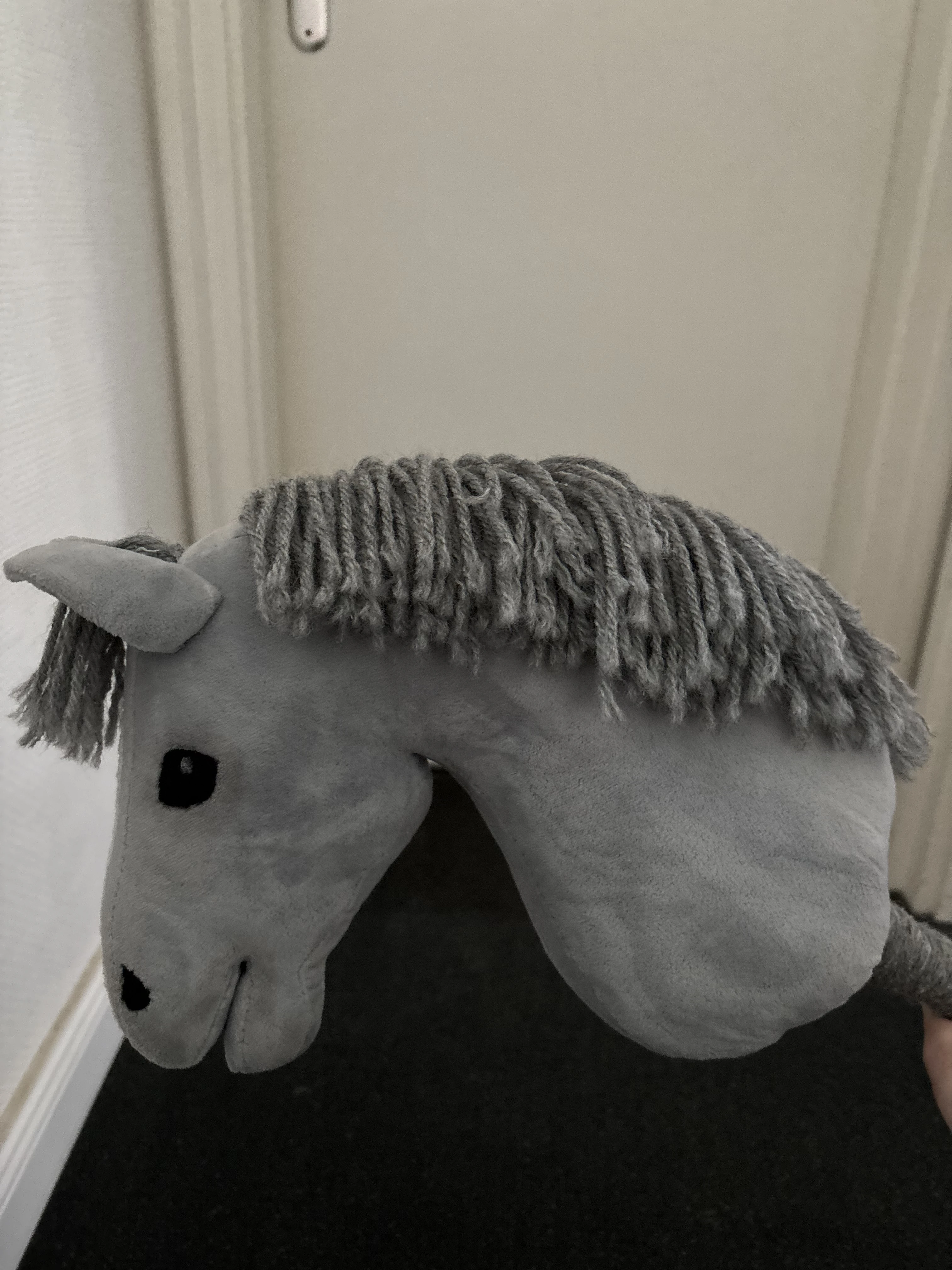 Schöne Mähne 