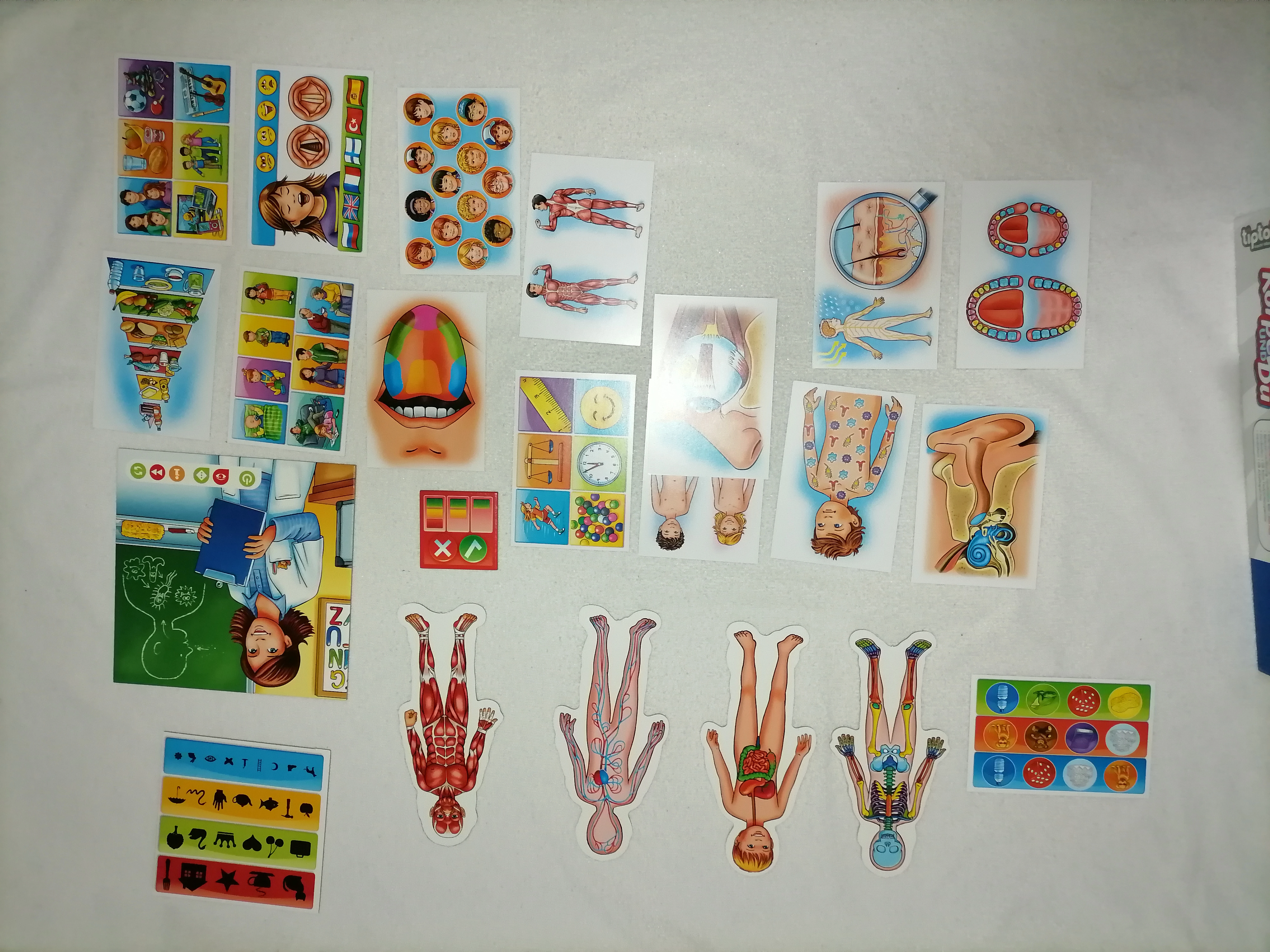 Ravensburger tiptoi - Dein Körper und Du - 00560