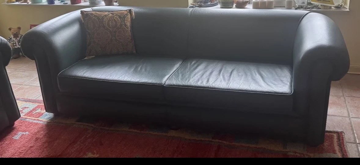 Das 4,5 Sofa einzeln im Bild
