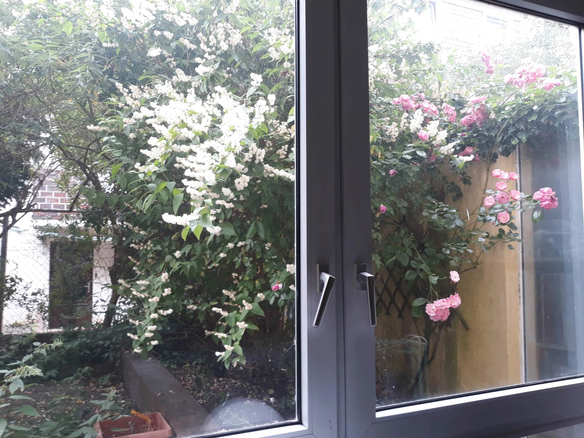 blick auf Garten