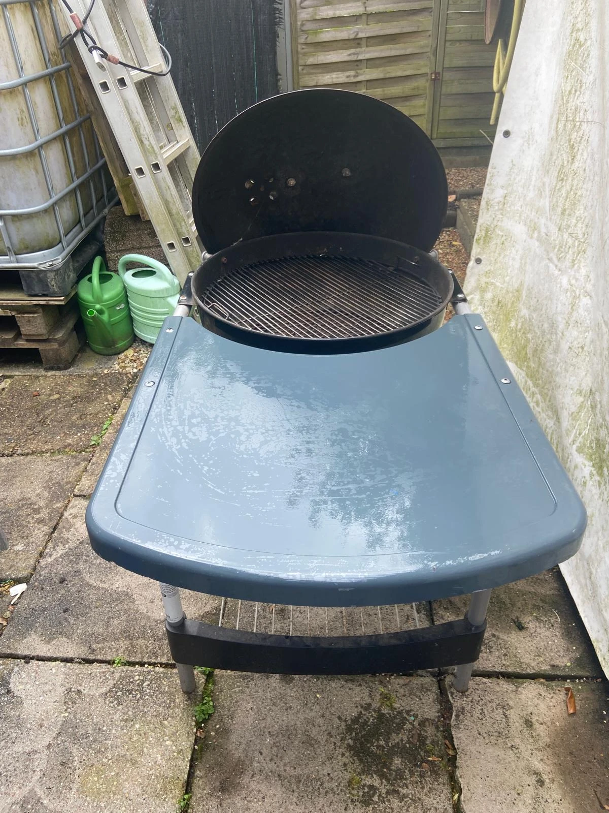 Weber Grill