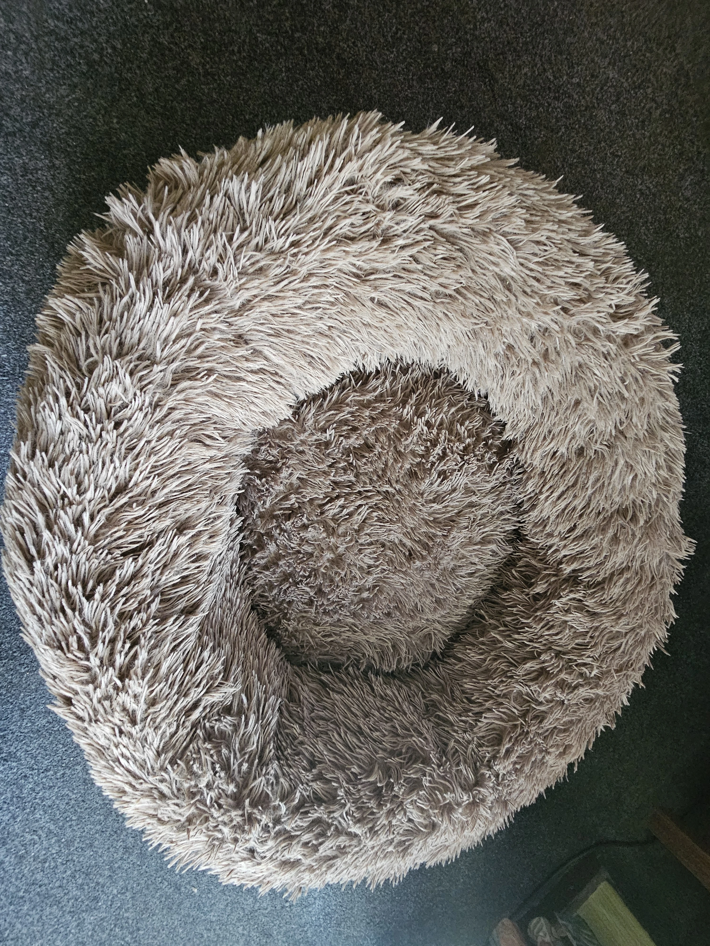 Hundebett 2