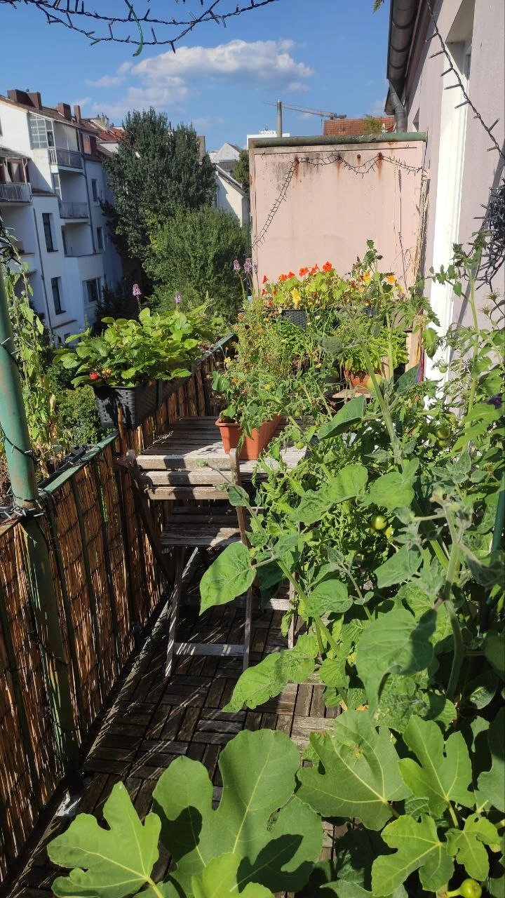 Balkon