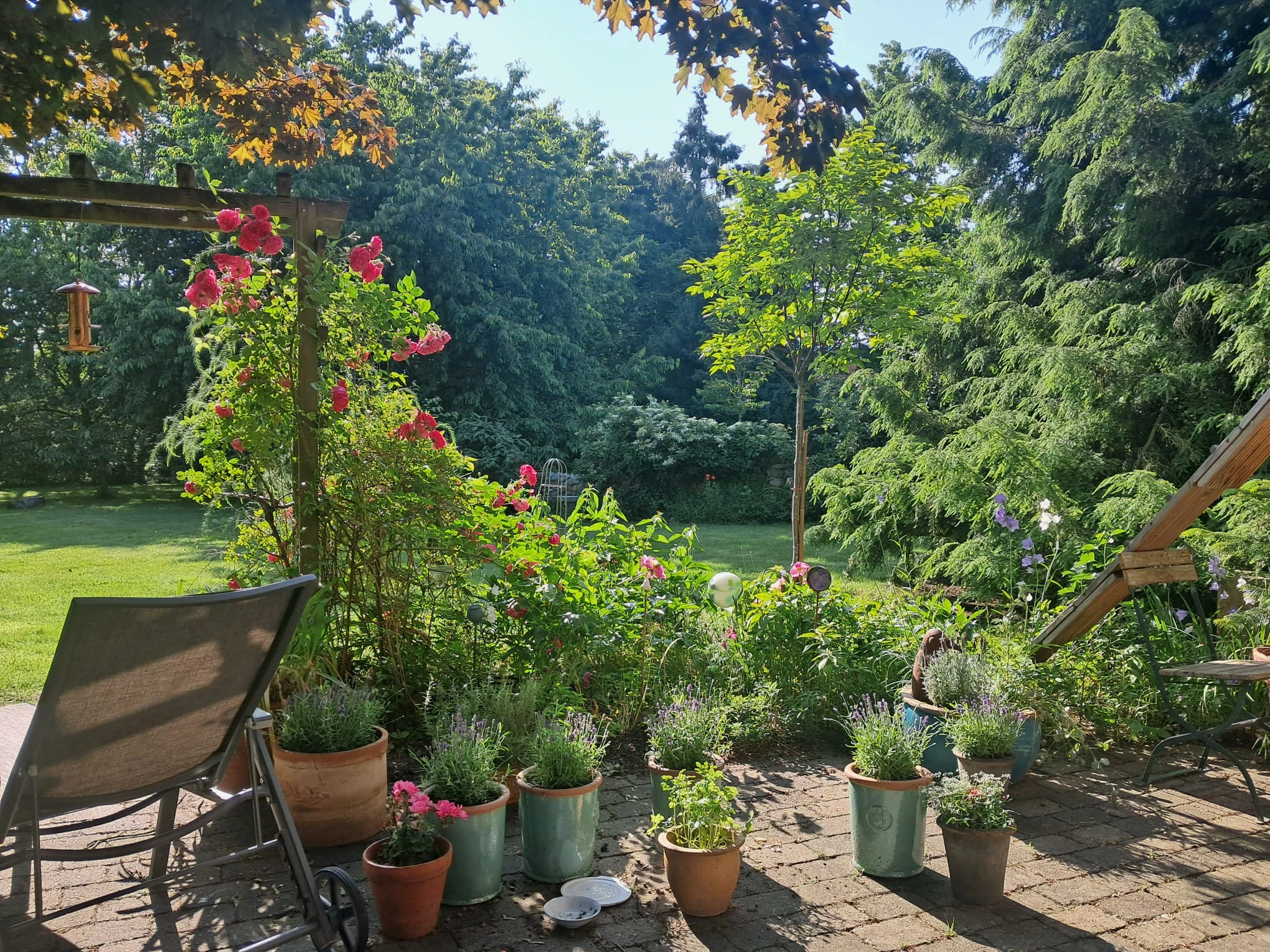 Terrasse