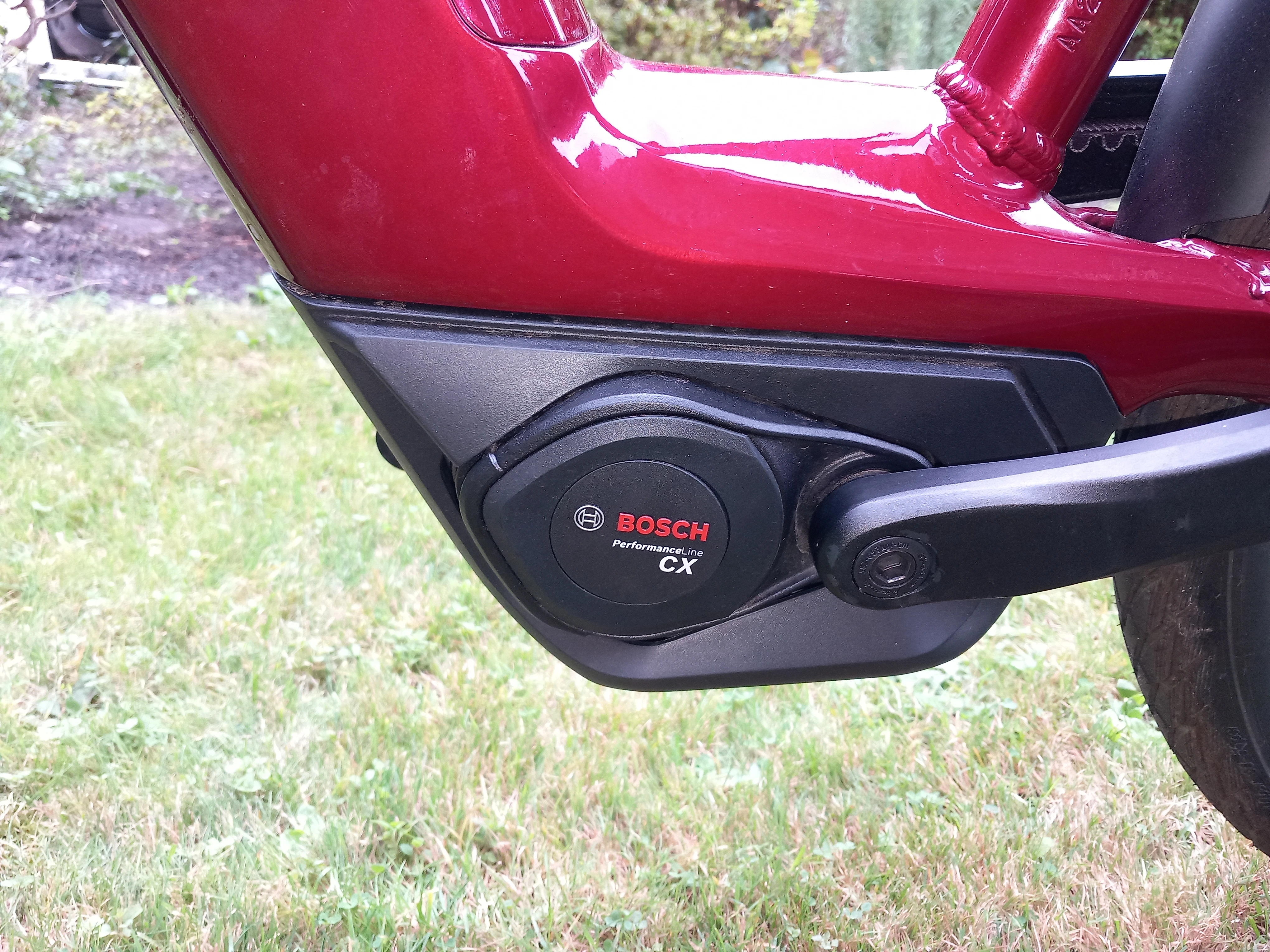 Motor