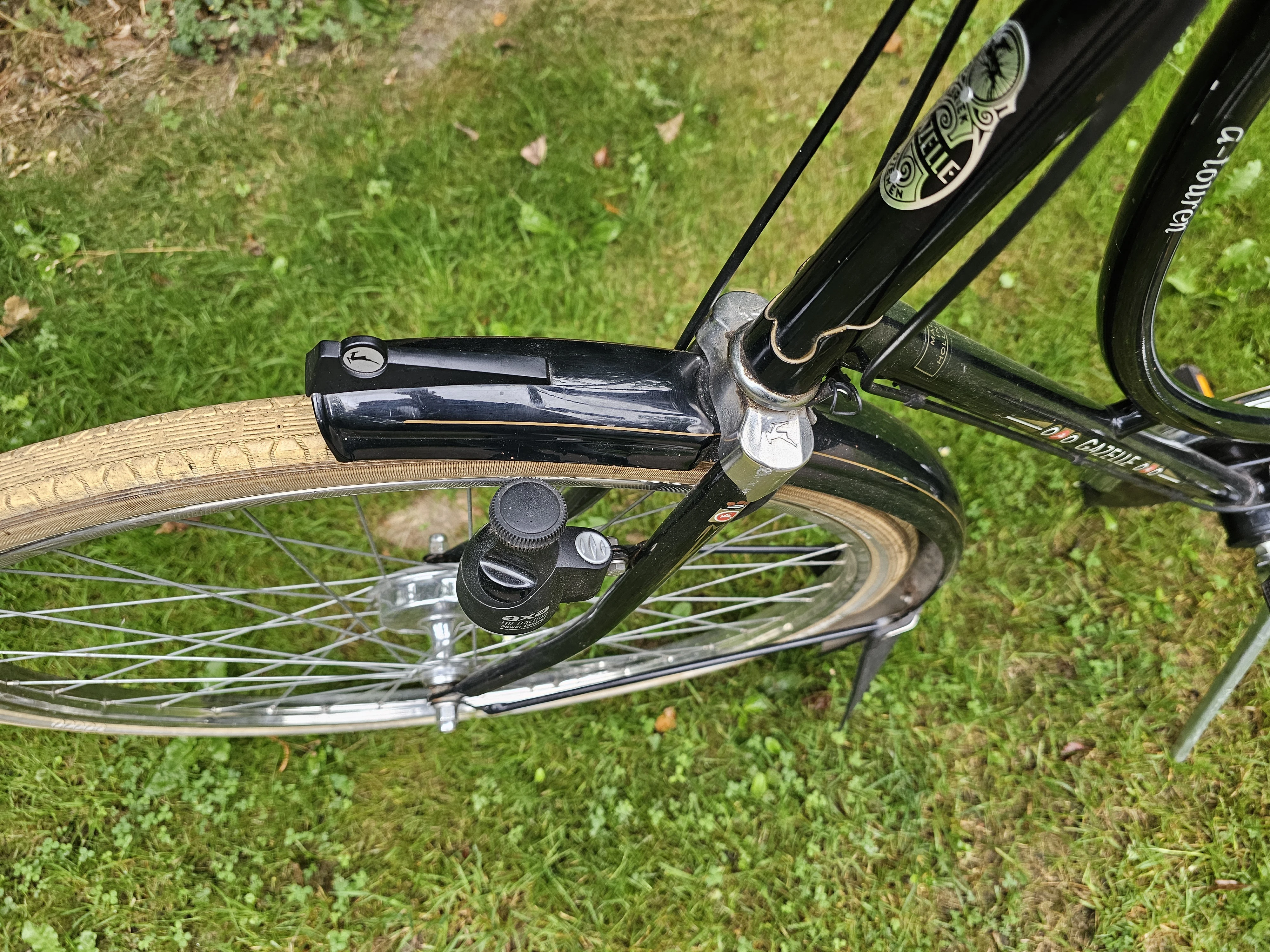 Vorderansicht