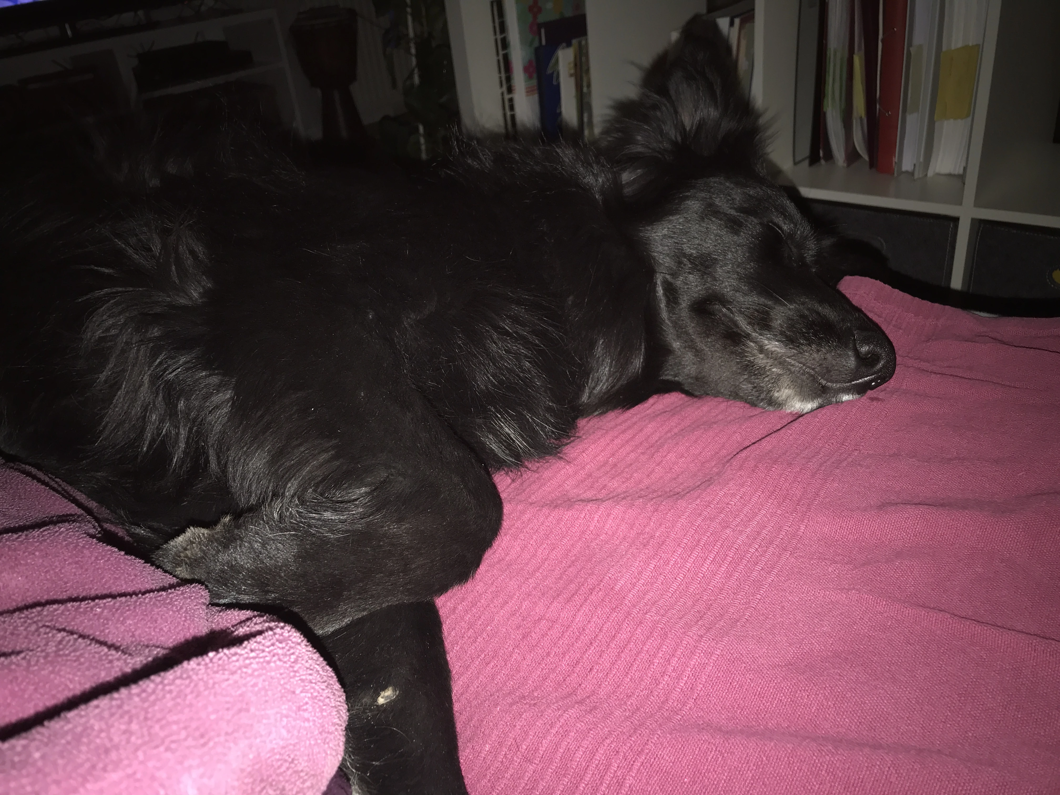 Mittagspause 