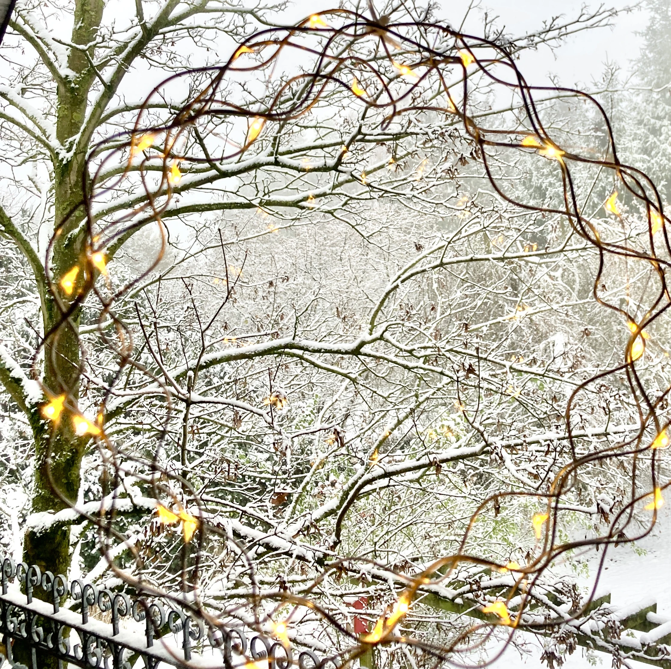 Winterimpressionen Blick in den Garten