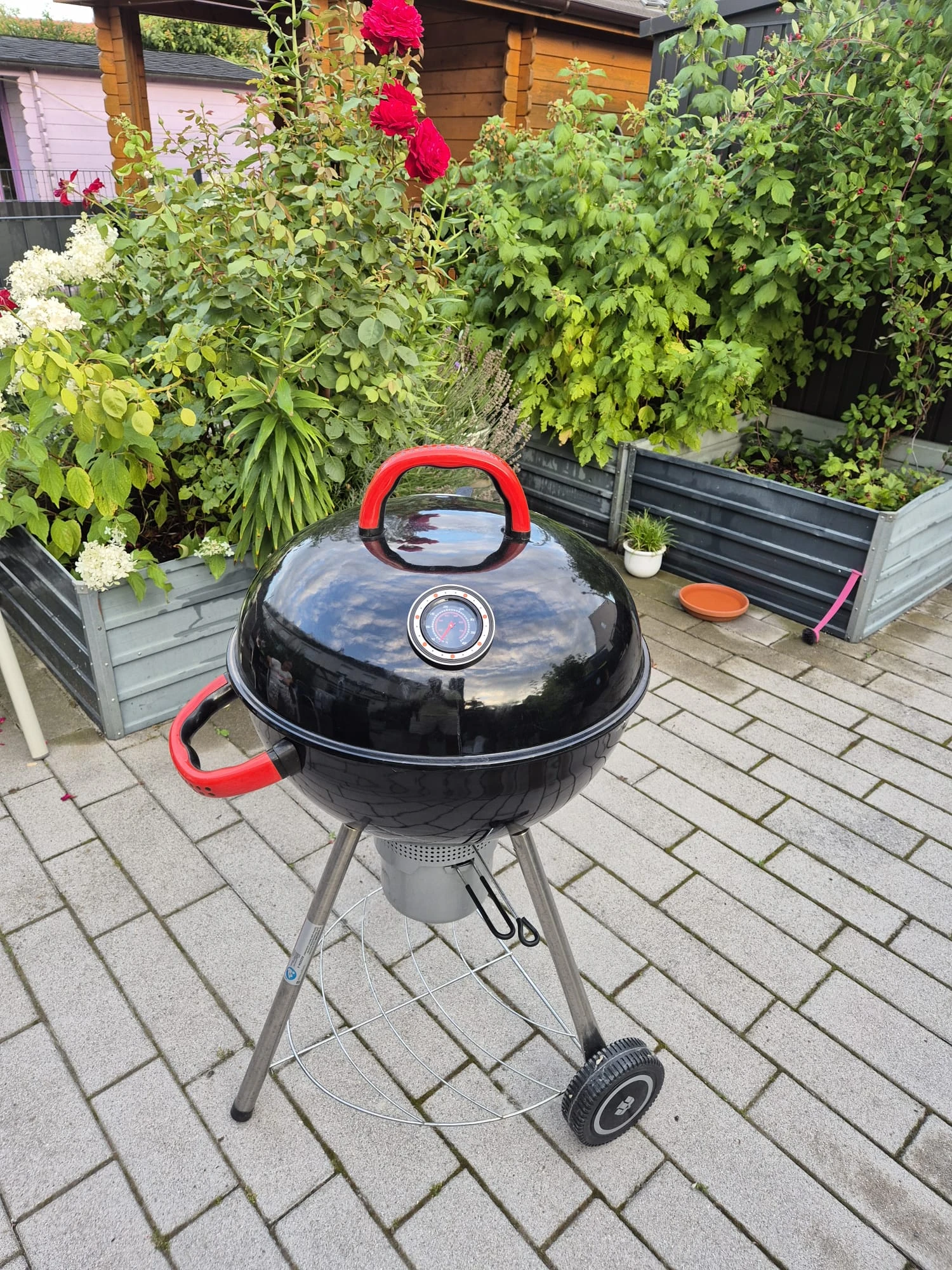Bild5