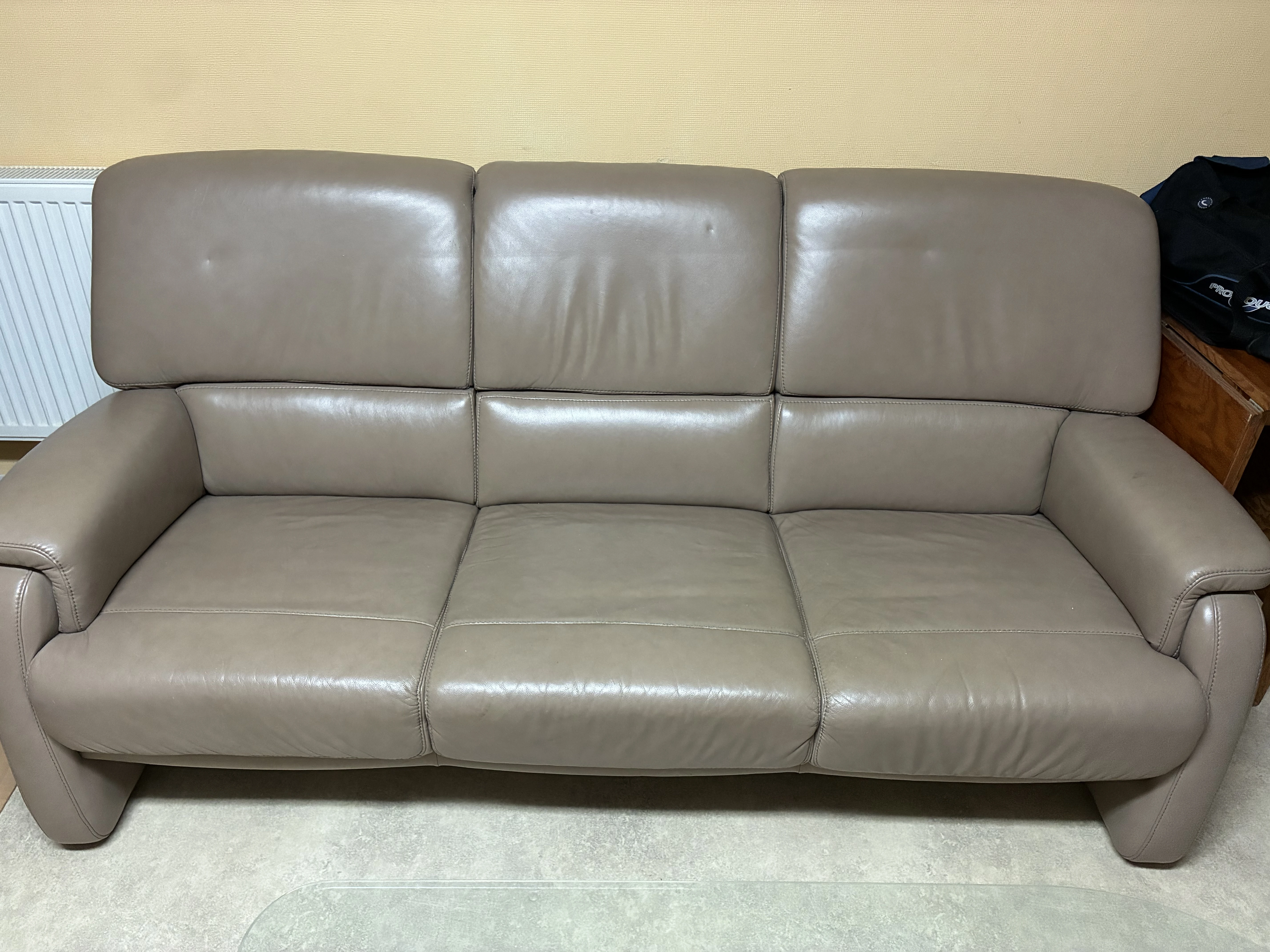 Ledersofa, Farbe Schlamm