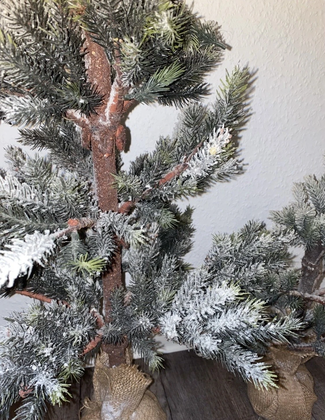 Tannenbaum