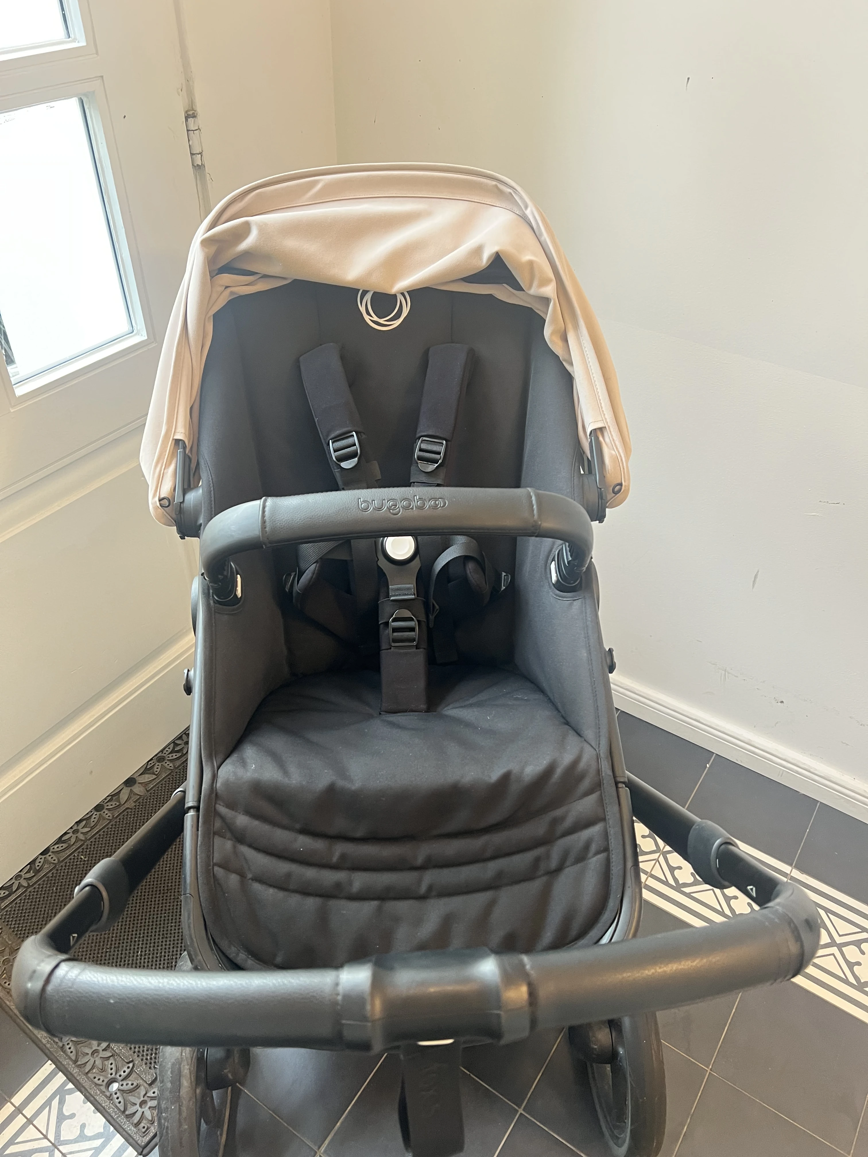 Buggy von vorne 