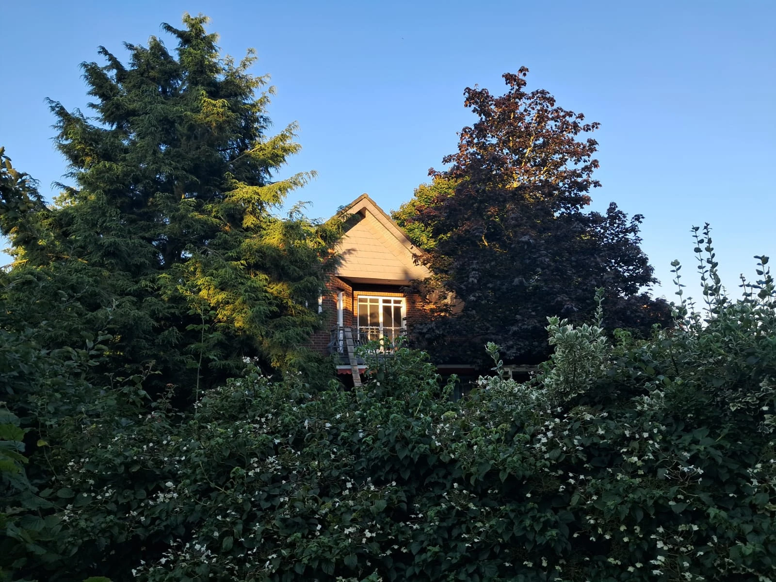 Haus