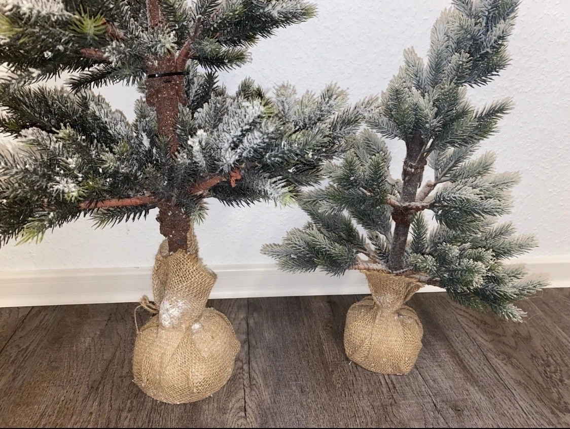 Tannenbaum