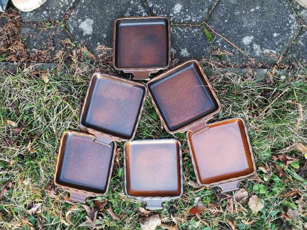 6 Toastpfännchen
